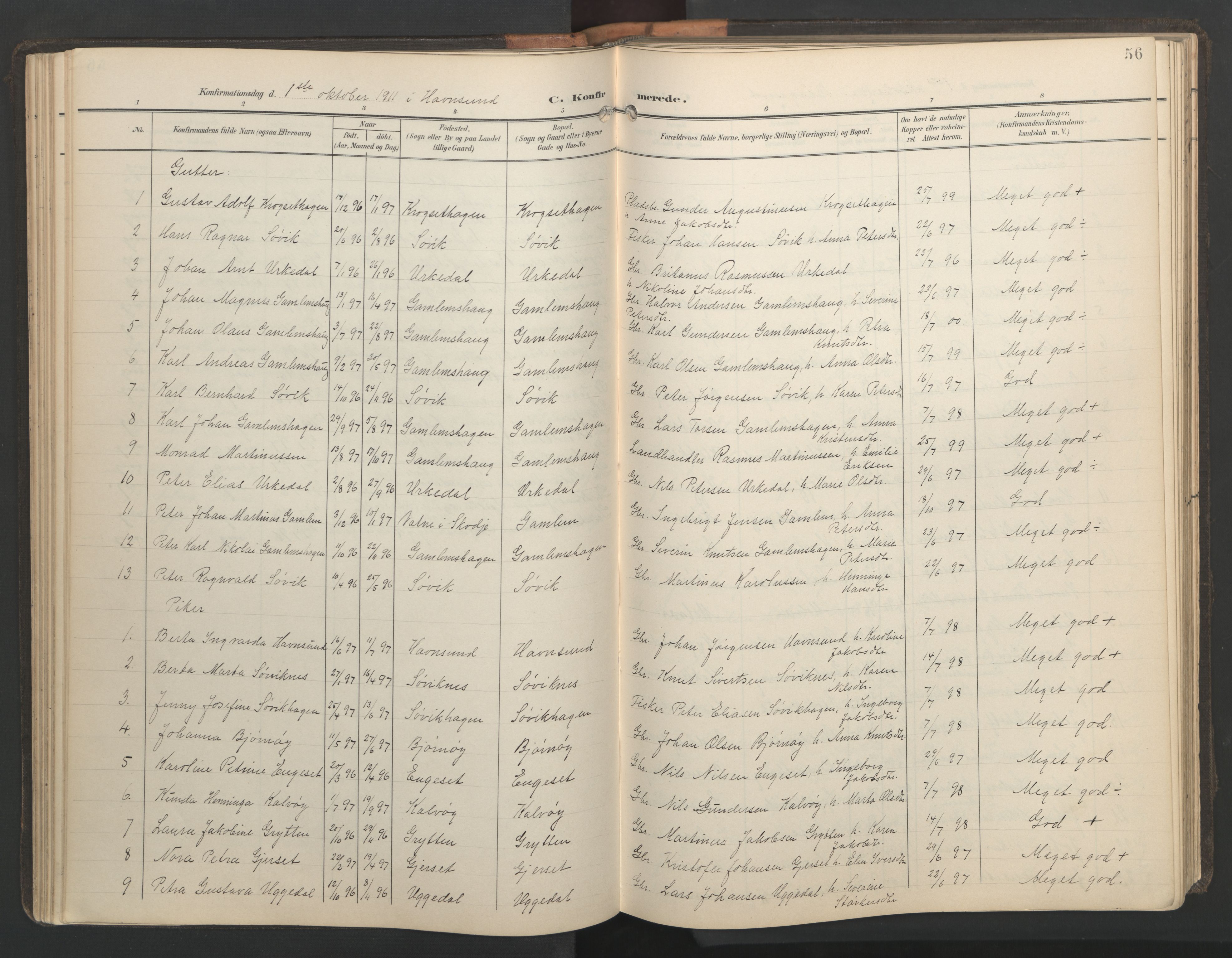 Ministerialprotokoller, klokkerbøker og fødselsregistre - Møre og Romsdal, AV/SAT-A-1454/528/L0433: Parish register (copy) no. 528C14, 1899-1922, p. 56