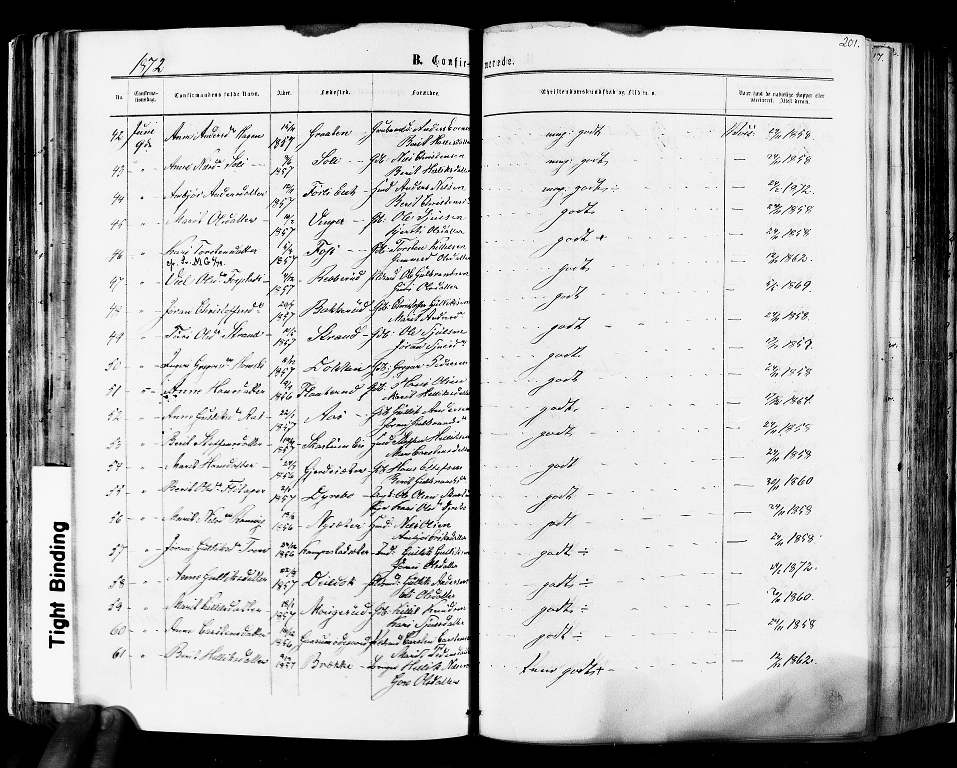 Flesberg kirkebøker, SAKO/A-18/F/Fa/L0007: Parish register (official) no. I 7, 1861-1878, p. 201