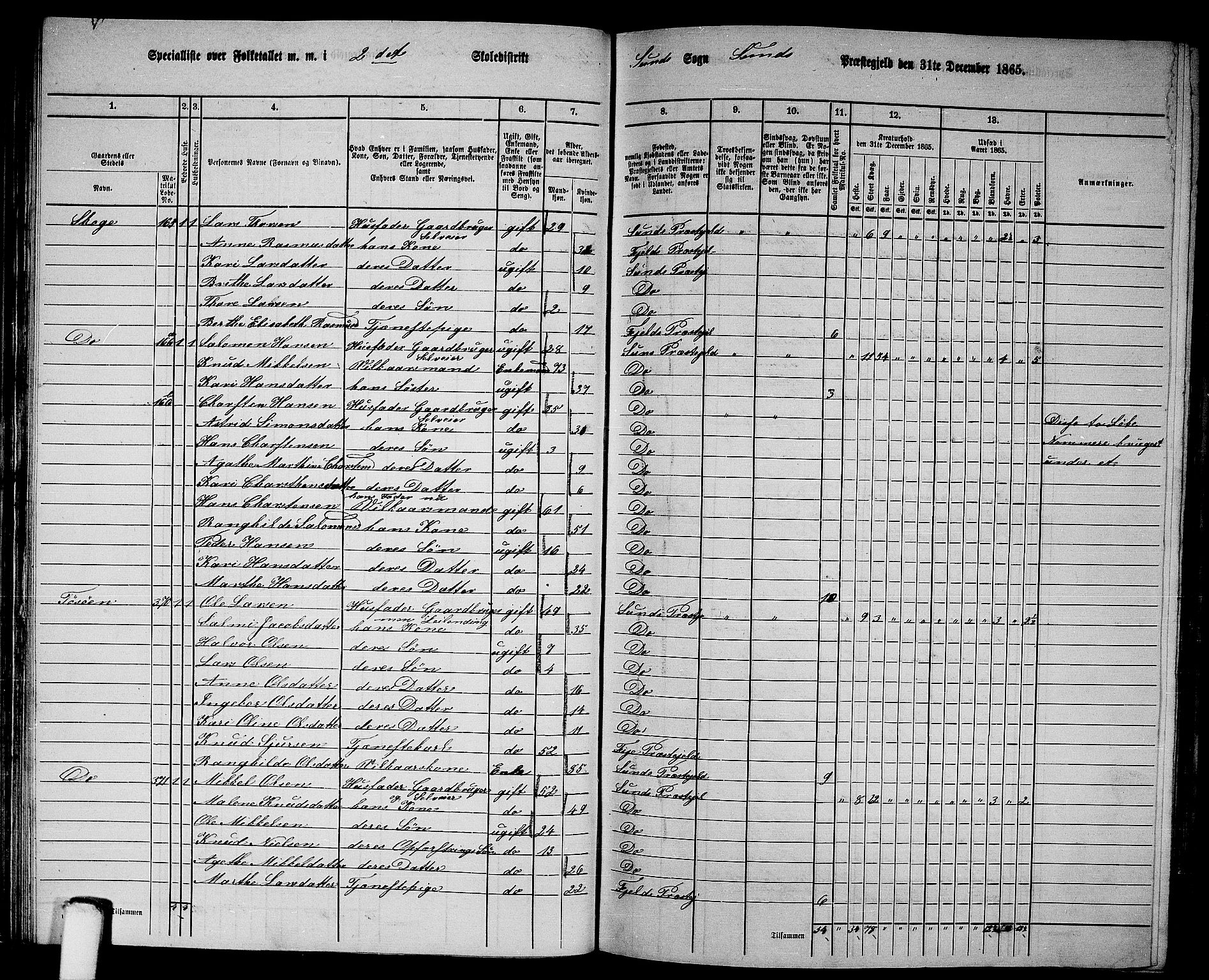 RA, 1865 census for Sund, 1865, p. 41