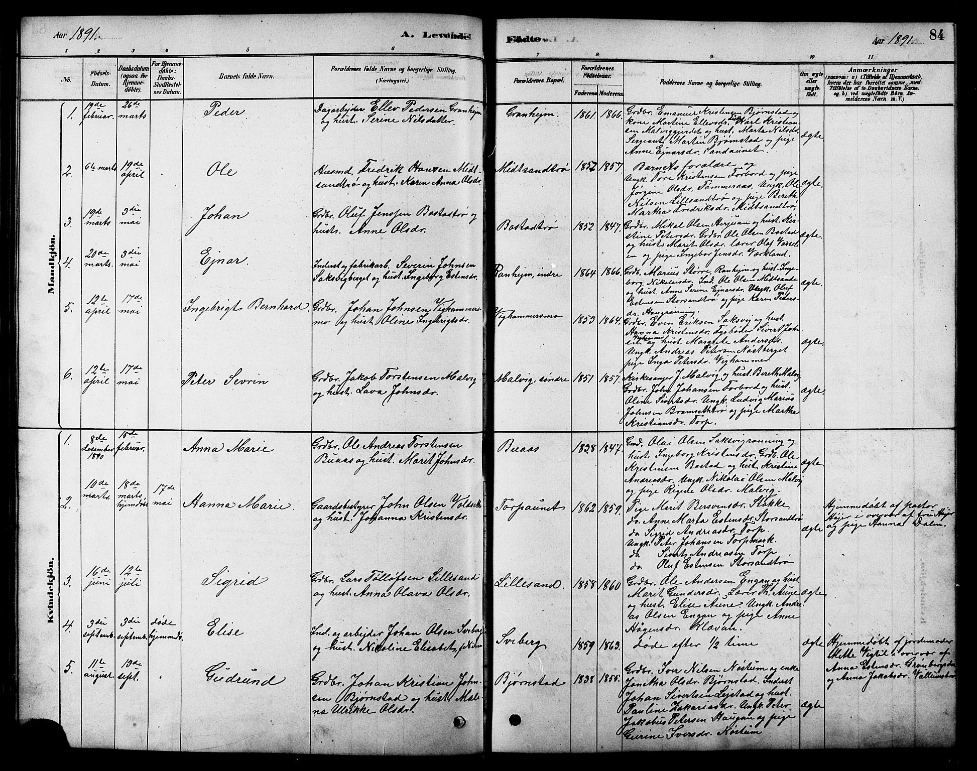 Ministerialprotokoller, klokkerbøker og fødselsregistre - Sør-Trøndelag, SAT/A-1456/616/L0423: Parish register (copy) no. 616C06, 1878-1903, p. 84