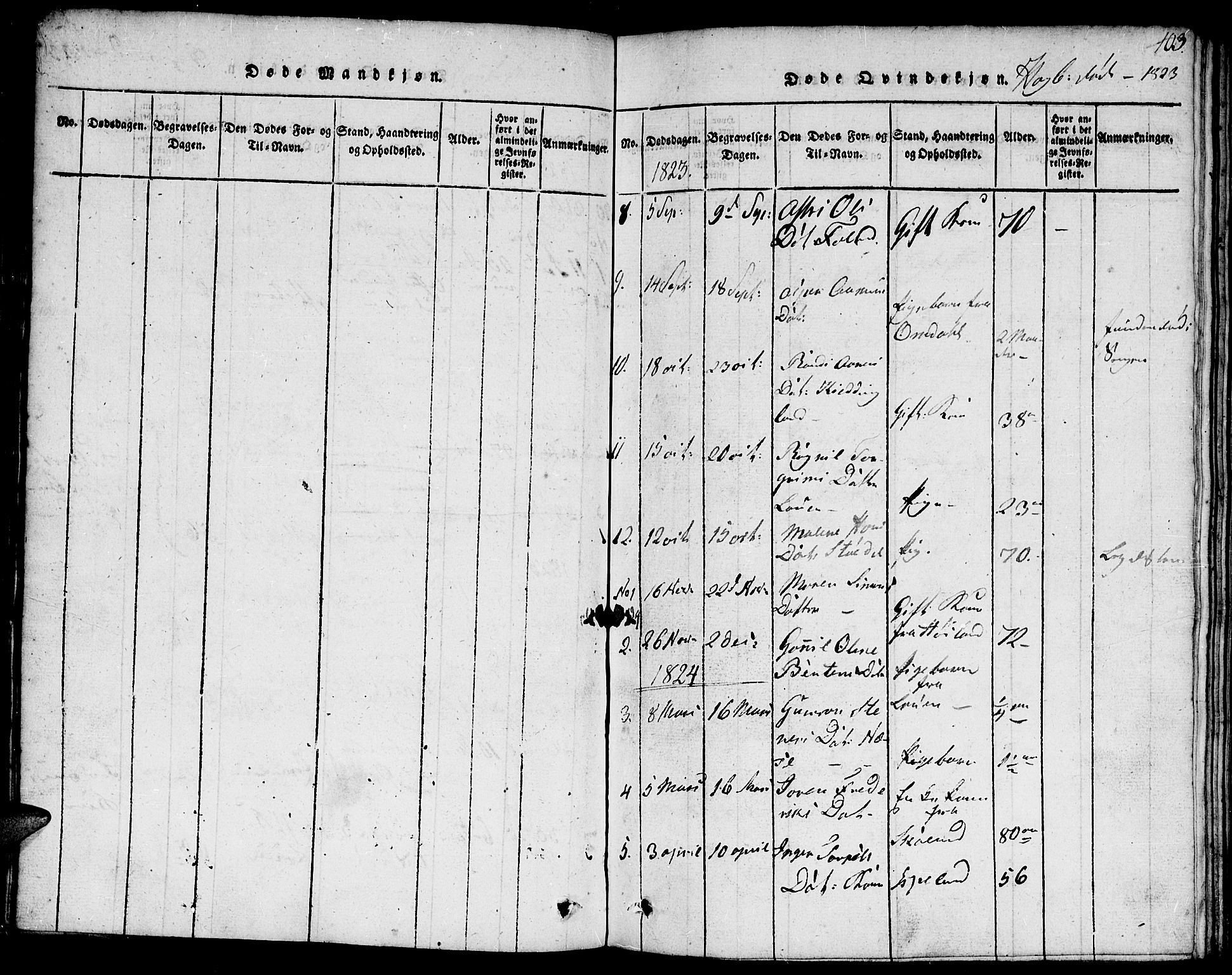 Hægebostad sokneprestkontor, SAK/1111-0024/F/Fa/Faa/L0002: Parish register (official) no. A 2 /1, 1816-1825, p. 103