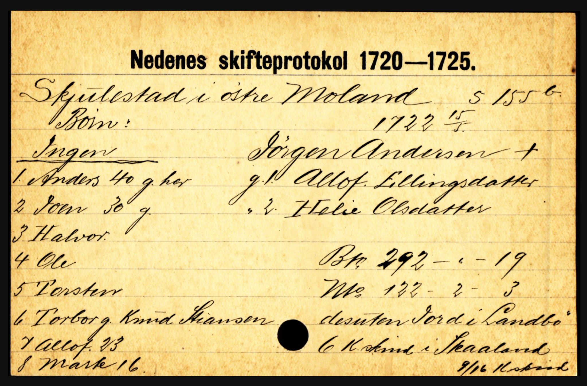 Nedenes sorenskriveri før 1824, AV/SAK-1221-0007/H, p. 27033