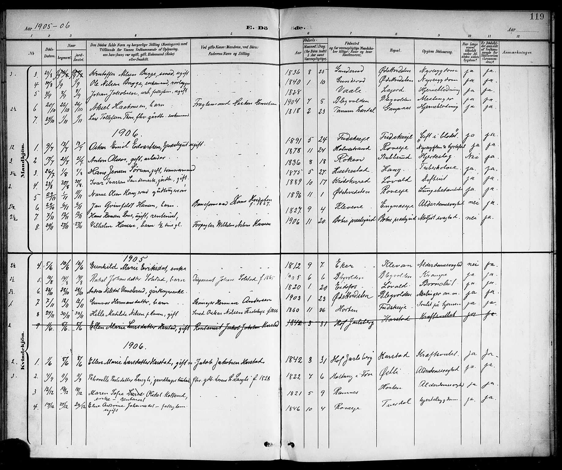 Botne kirkebøker, SAKO/A-340/G/Ga/L0004: Parish register (copy) no. I 4, 1899-1915, p. 119