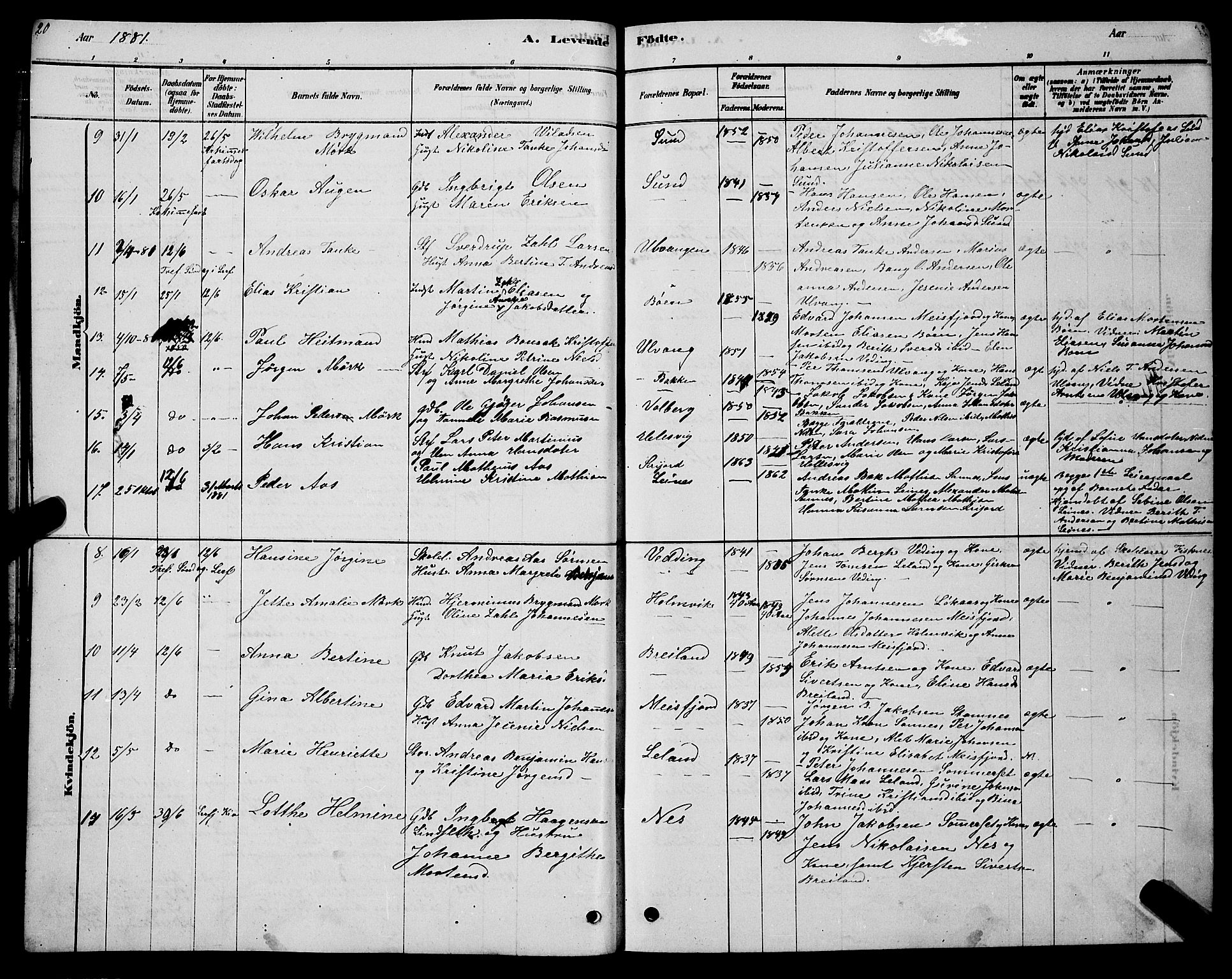 Ministerialprotokoller, klokkerbøker og fødselsregistre - Nordland, AV/SAT-A-1459/831/L0477: Parish register (copy) no. 831C04, 1878-1897, p. 20