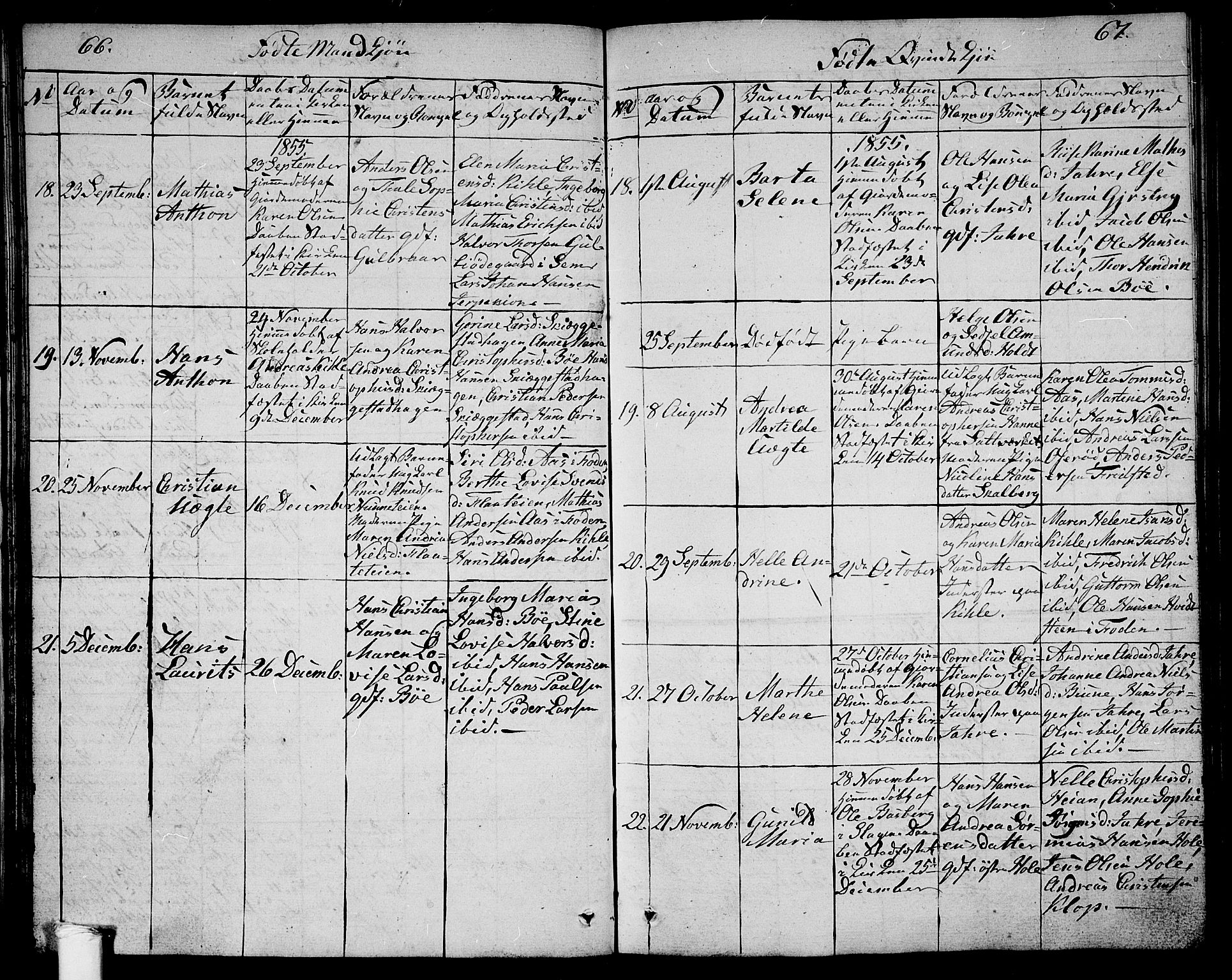 Ramnes kirkebøker, AV/SAKO-A-314/G/Ga/L0002: Parish register (copy) no. I 2, 1848-1870, p. 66-67