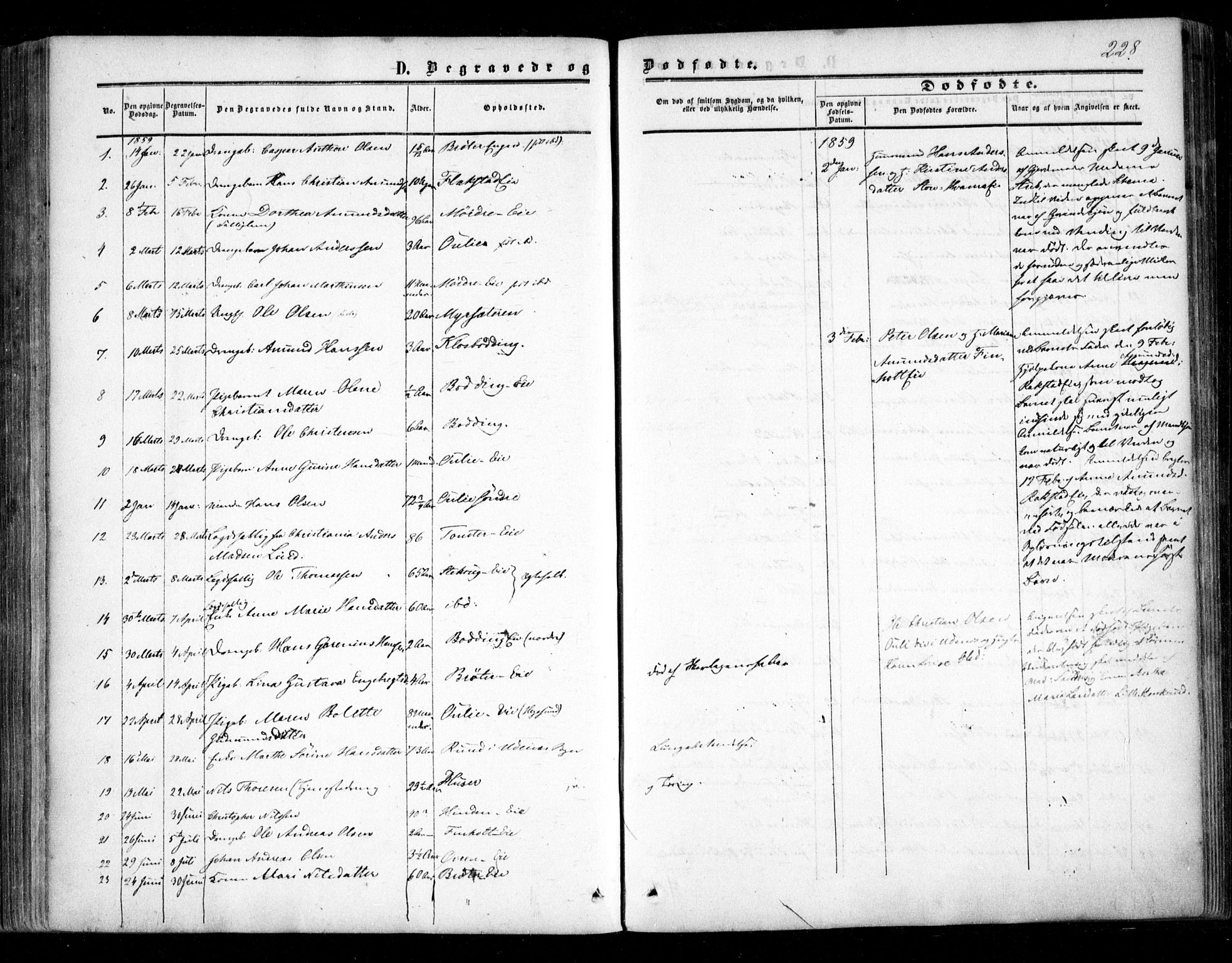 Nes prestekontor Kirkebøker, AV/SAO-A-10410/F/Fc/L0001: Parish register (official) no. III 1, 1859-1882, p. 228