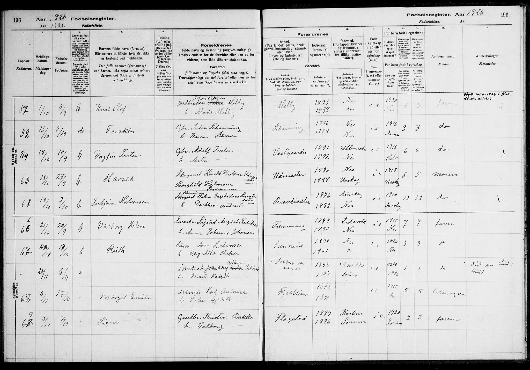 Nes prestekontor Kirkebøker, AV/SAO-A-10410/J/Ja/L0001: Birth register no. 1, 1916-1926, p. 196