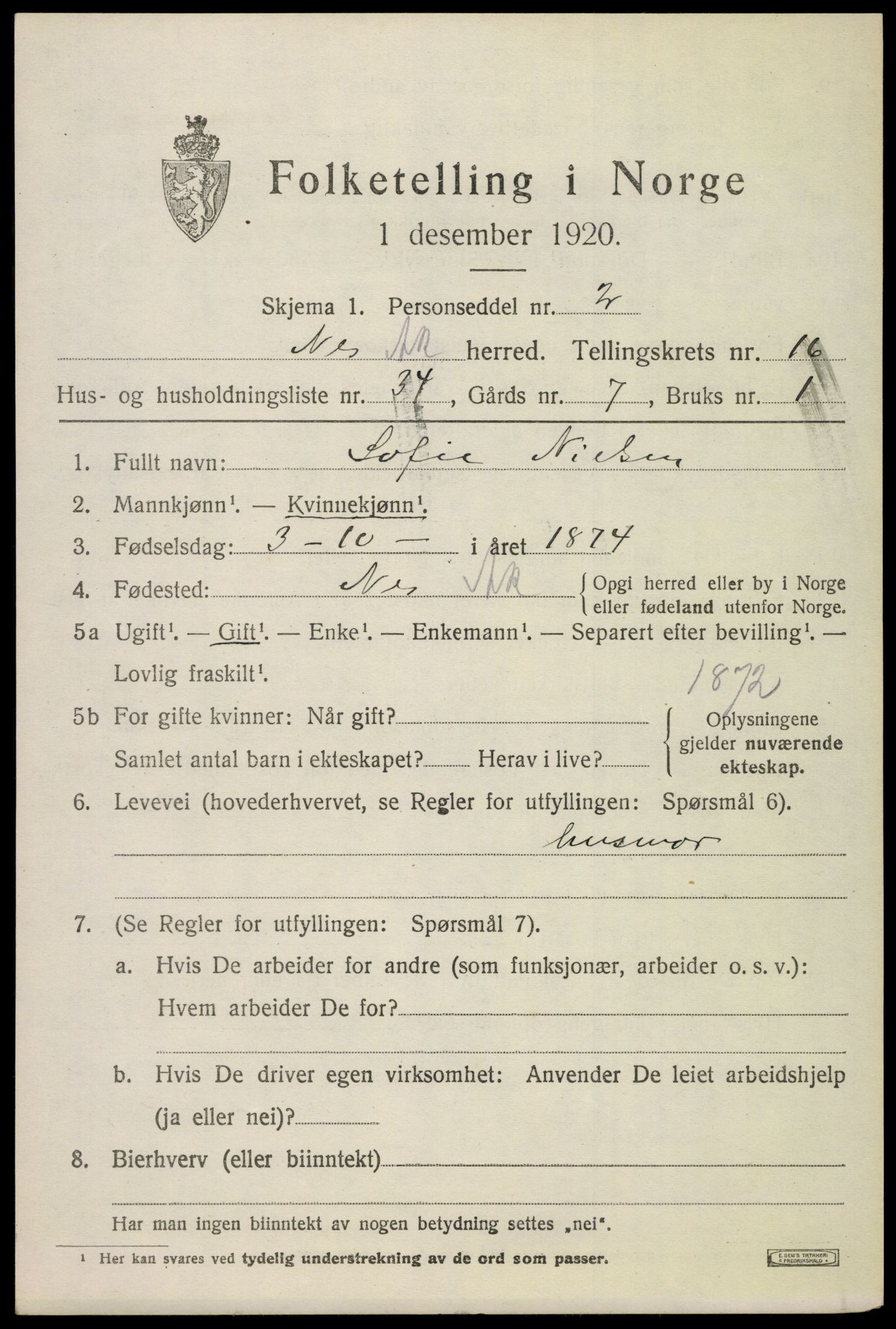 SAO, 1920 census for Nes, 1920, p. 16144