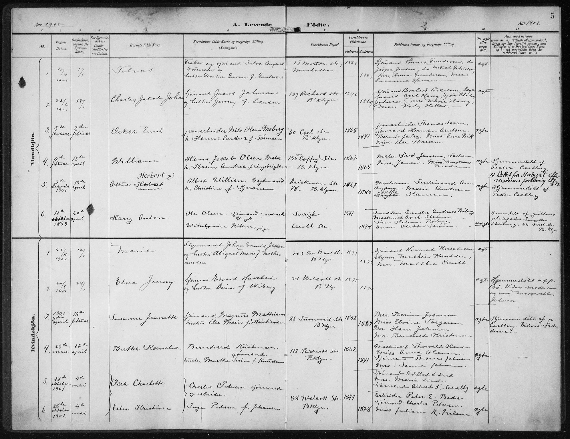 Den norske sjømannsmisjon i utlandet/New York, SAB/SAB/PA-0110/H/Ha/L0005: Parish register (official) no. A 5, 1902-1908, p. 5