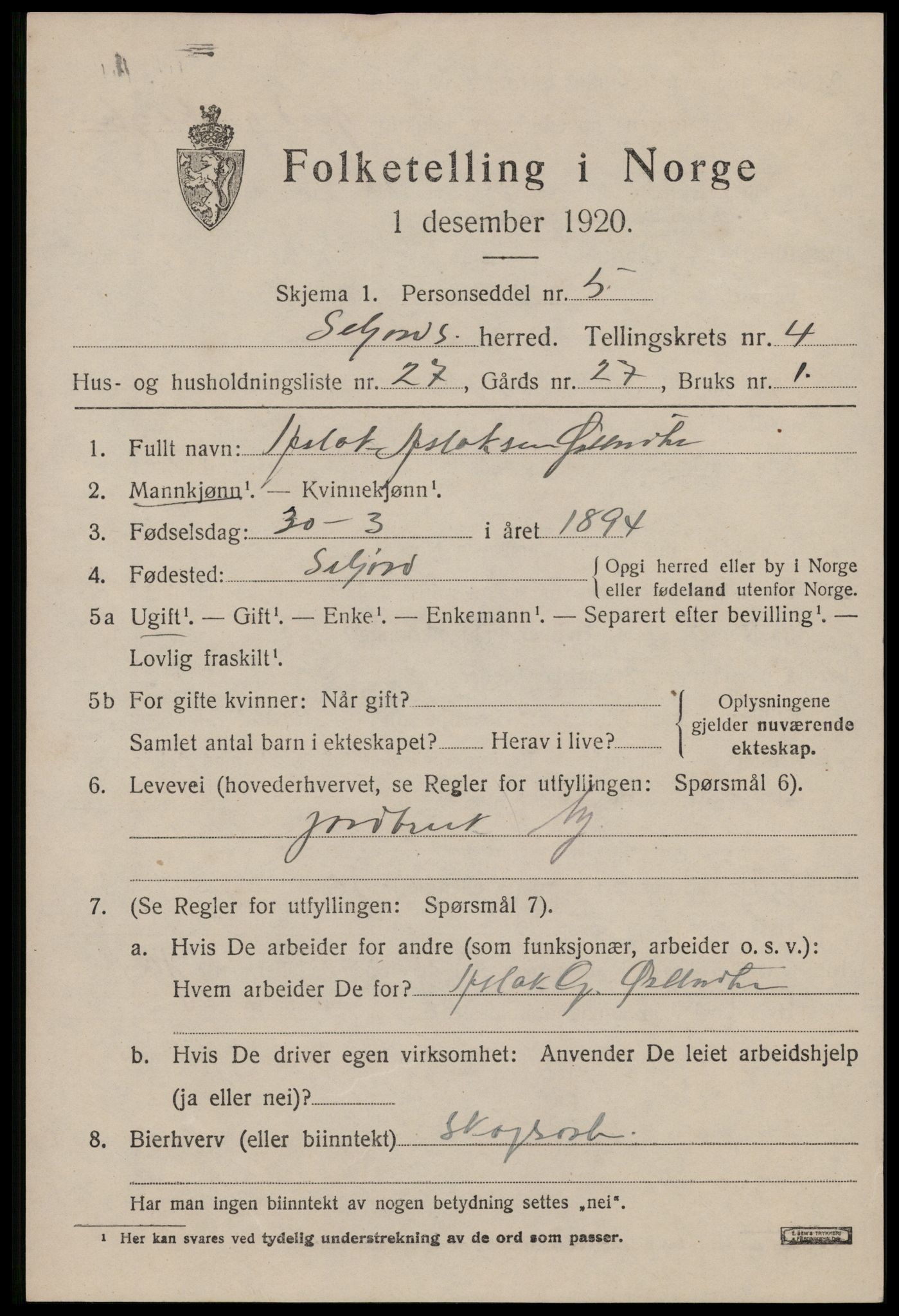 SAKO, 1920 census for Seljord, 1920, p. 2370