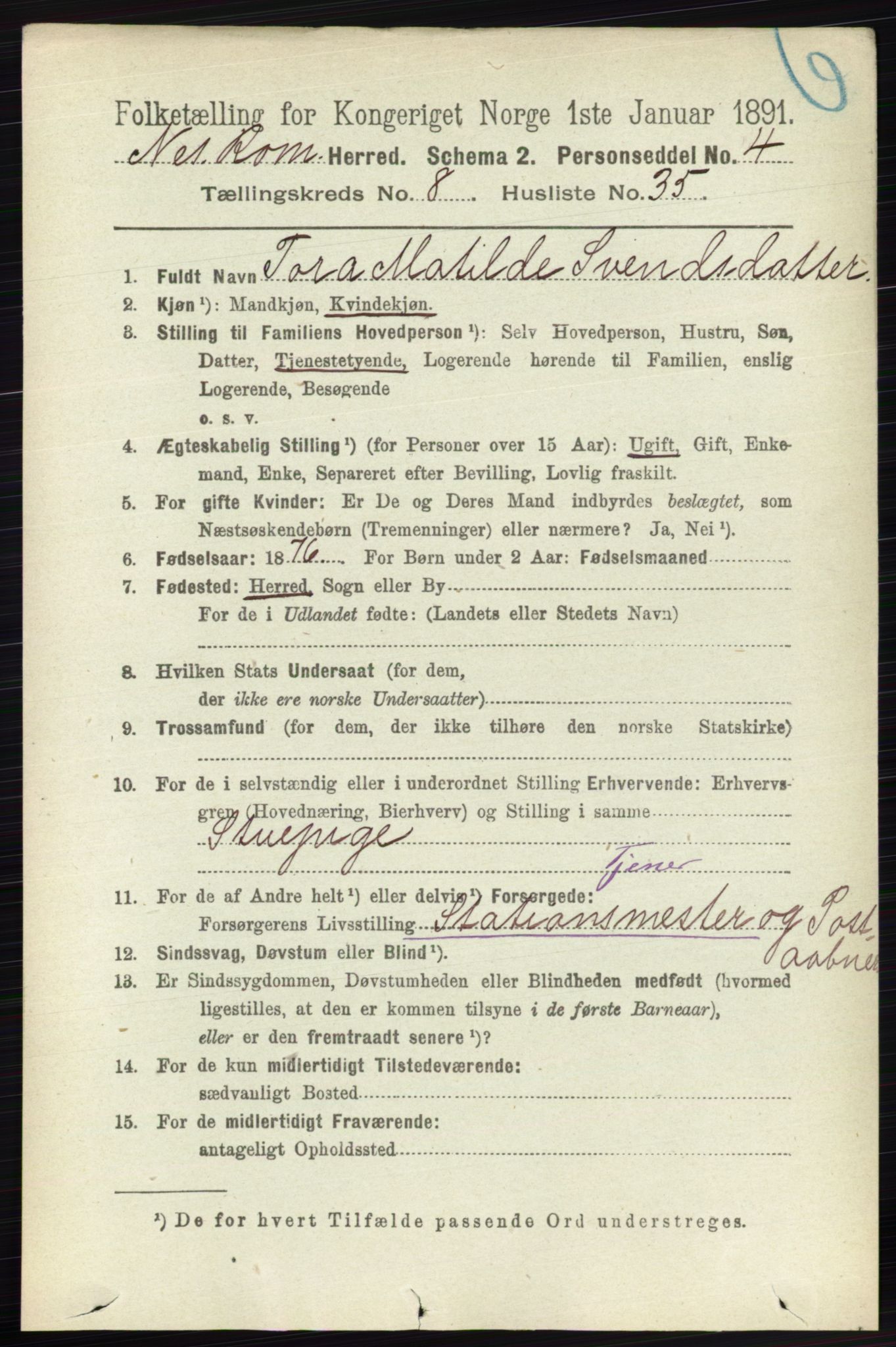 RA, 1891 census for 0236 Nes, 1891, p. 4827