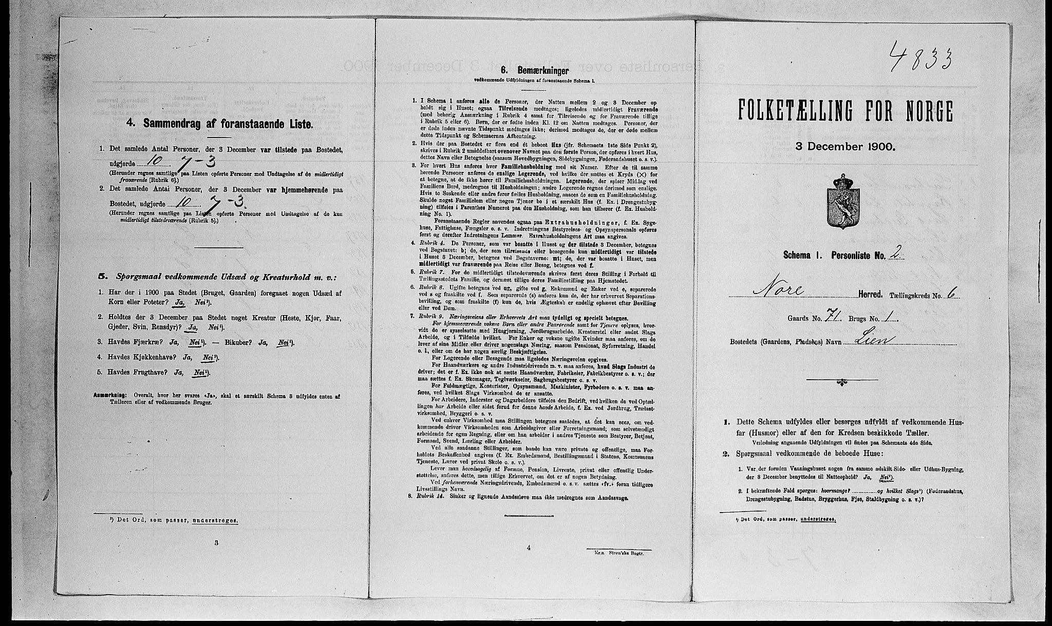 RA, 1900 census for Nore, 1900, p. 599