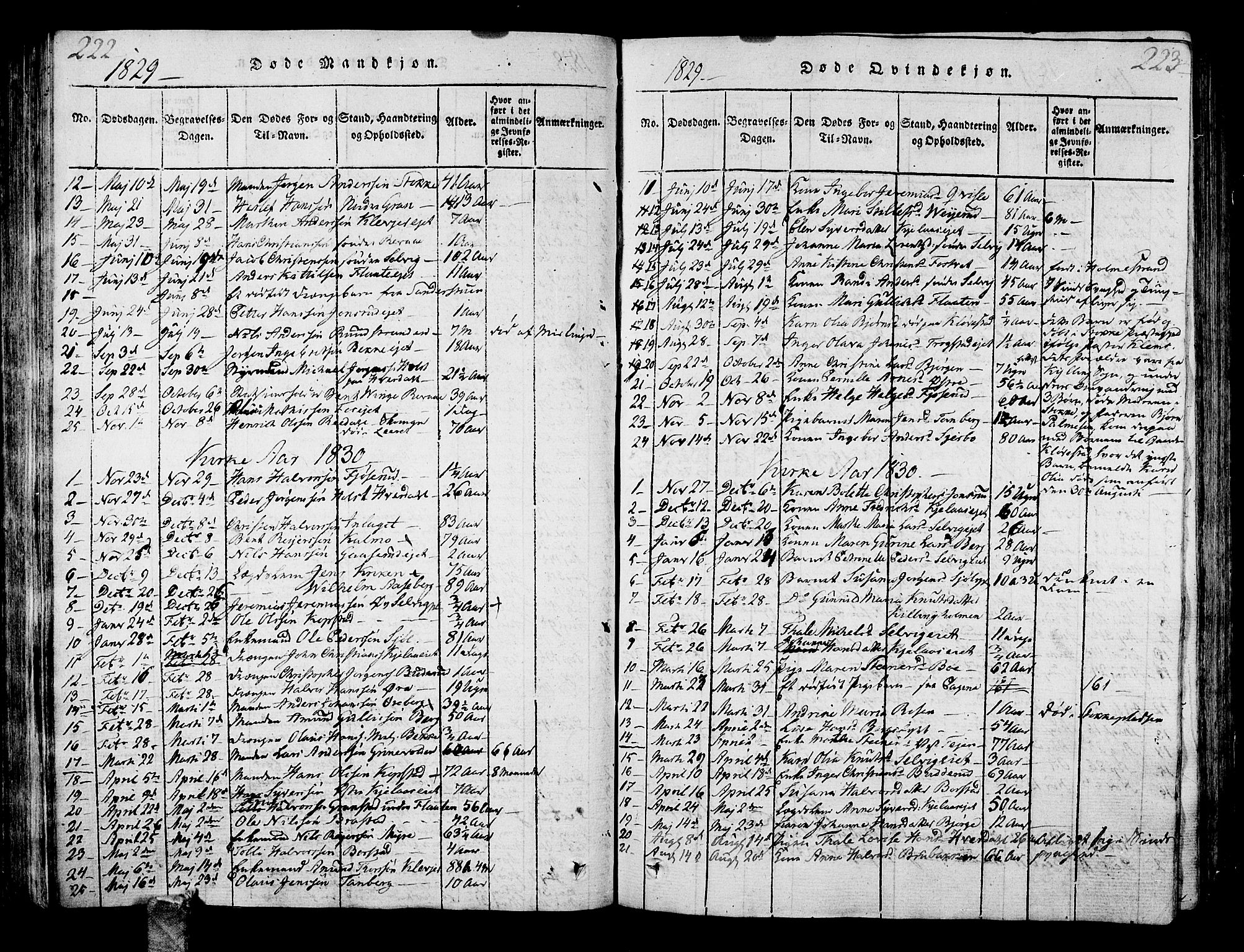 Sande Kirkebøker, SAKO/A-53/G/Ga/L0001: Parish register (copy) no. 1, 1814-1847, p. 222-223