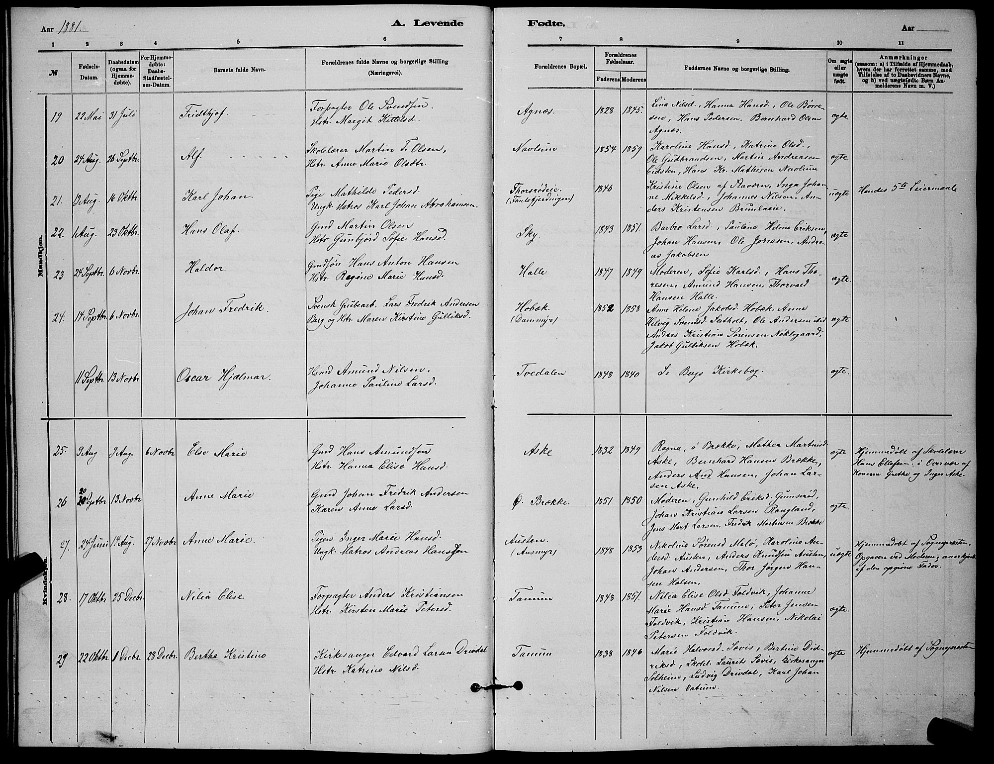 Brunlanes kirkebøker, AV/SAKO-A-342/G/Ga/L0003: Parish register (copy) no. I 3, 1877-1898