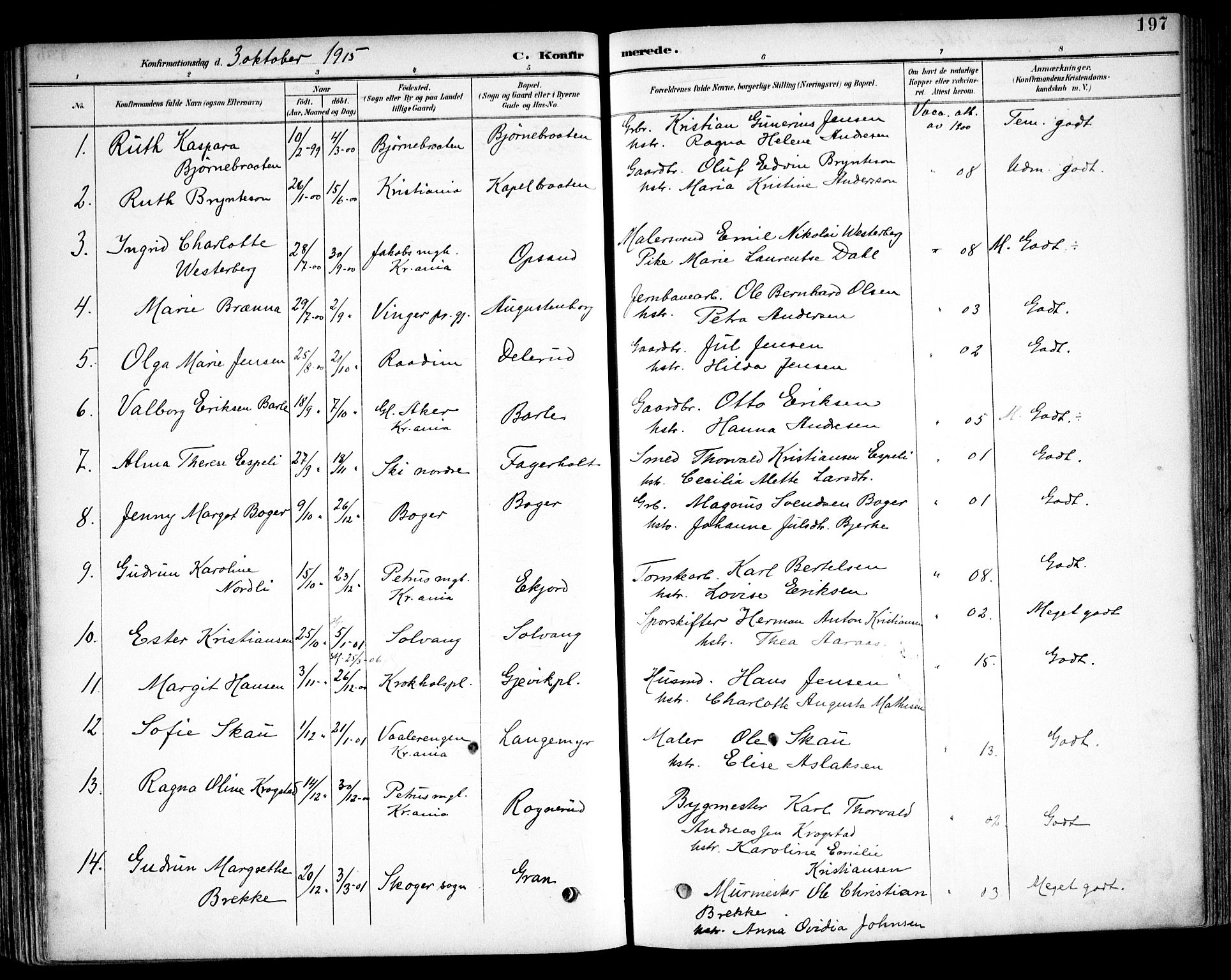 Kråkstad prestekontor Kirkebøker, SAO/A-10125a/F/Fb/L0002: Parish register (official) no. II 2, 1893-1917, p. 197