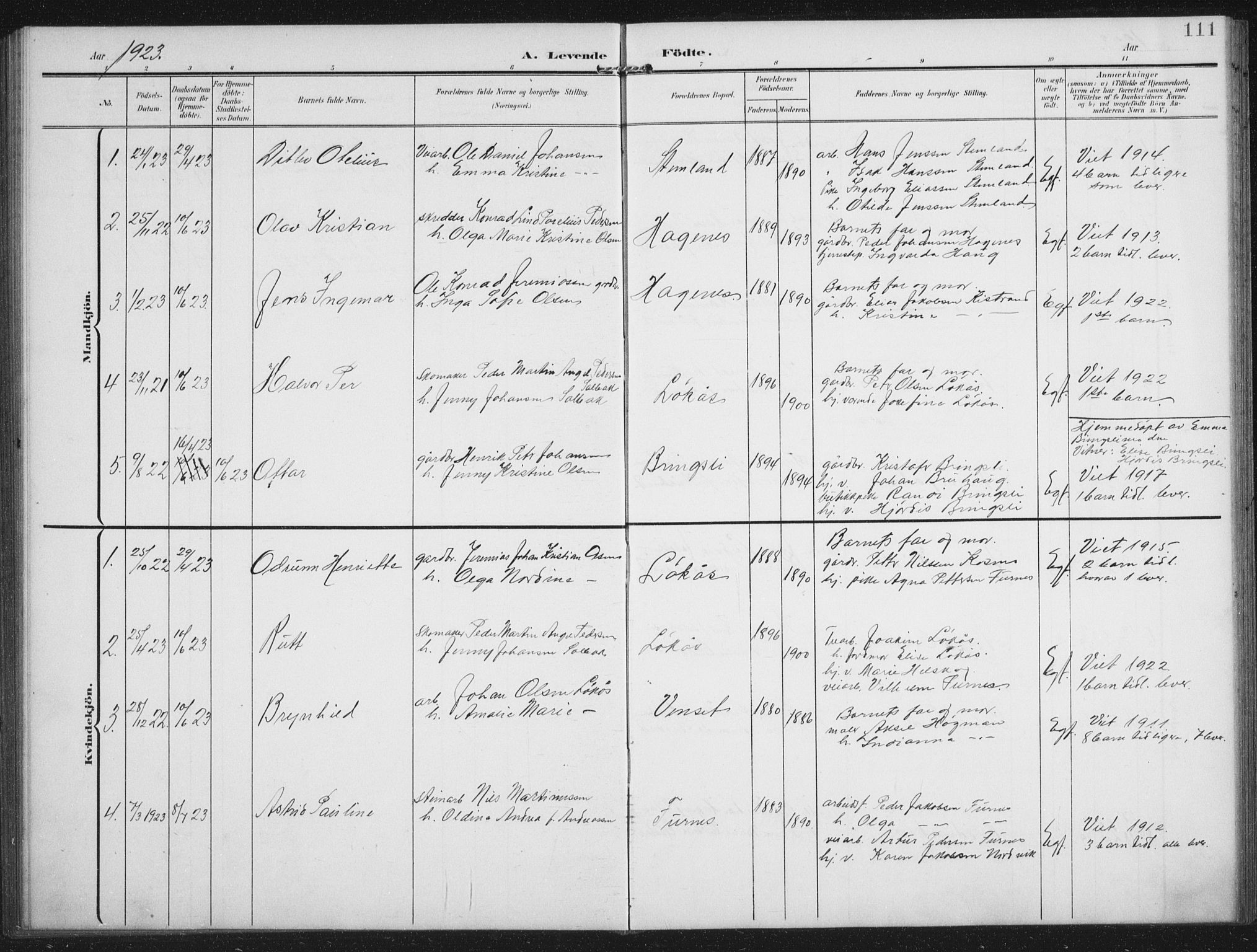 Ministerialprotokoller, klokkerbøker og fødselsregistre - Nordland, AV/SAT-A-1459/851/L0726: Parish register (copy) no. 851C01, 1902-1924, p. 111