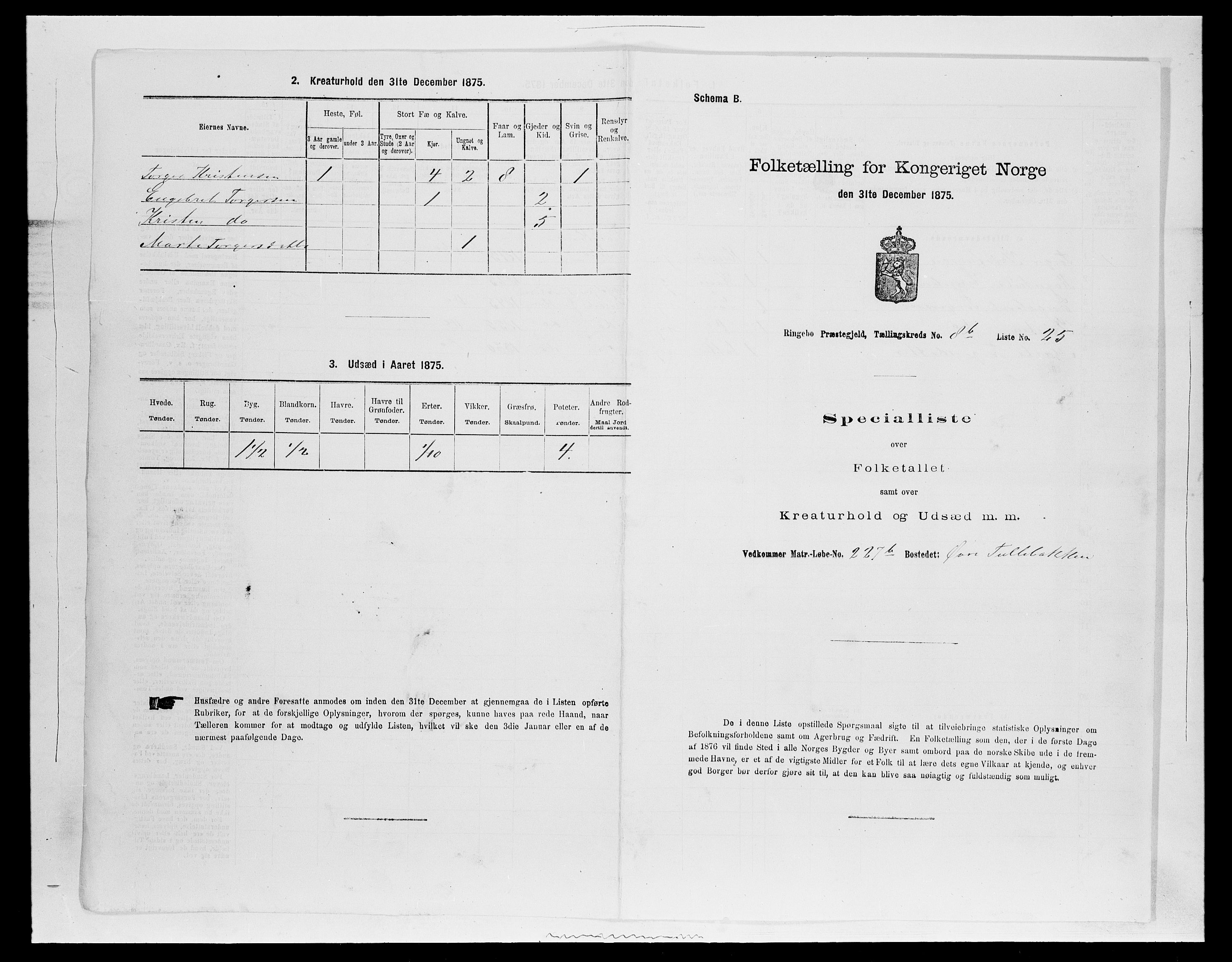 SAH, 1875 census for 0520P Ringebu, 1875, p. 1320