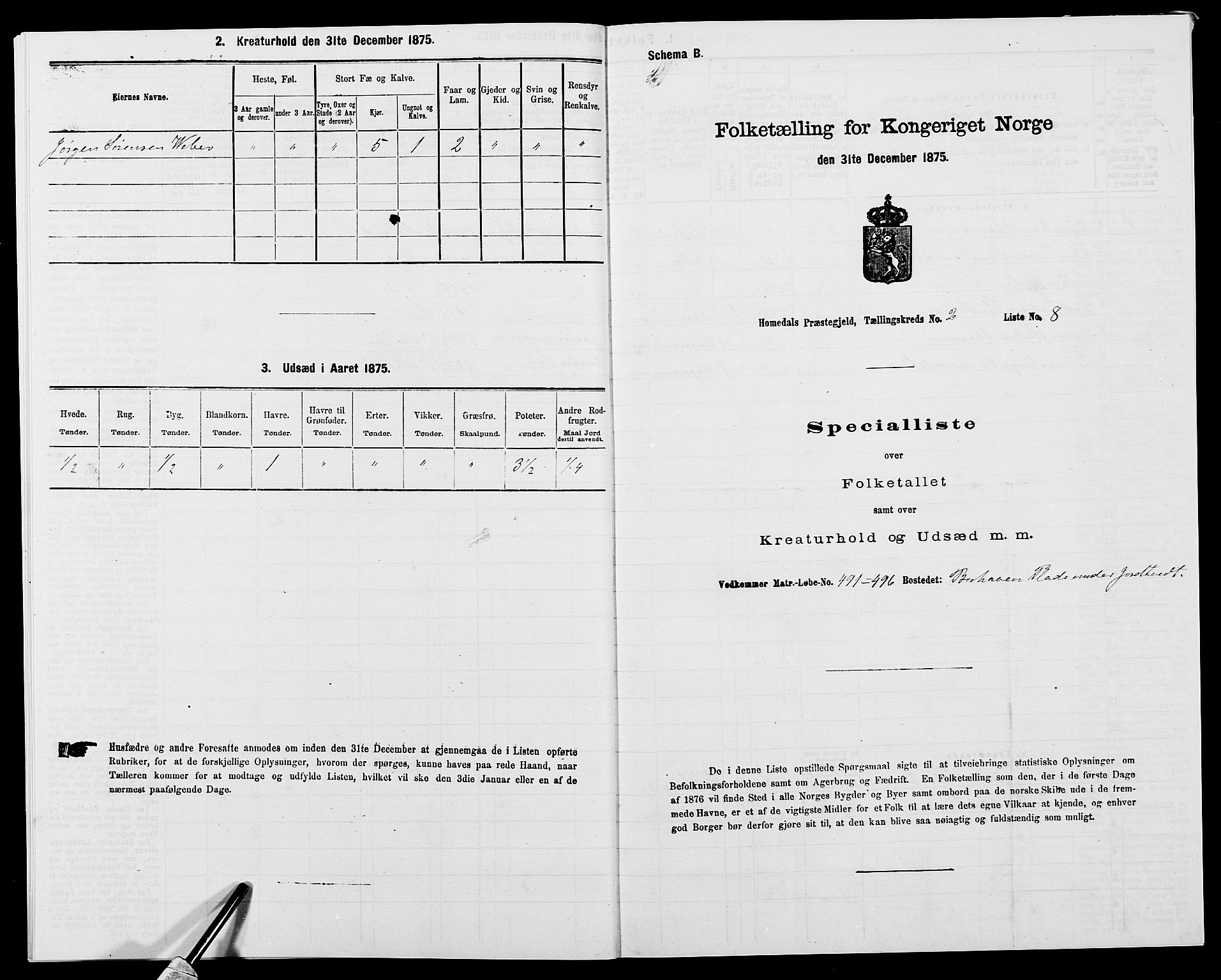 SAK, 1875 census for 0924P Homedal, 1875, p. 142