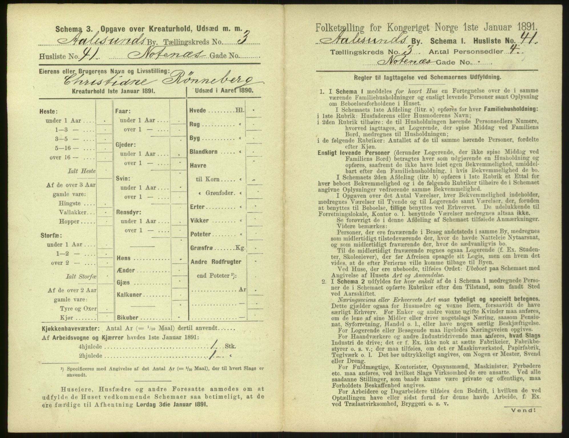 RA, 1891 census for 1501 Ålesund, 1891, p. 288