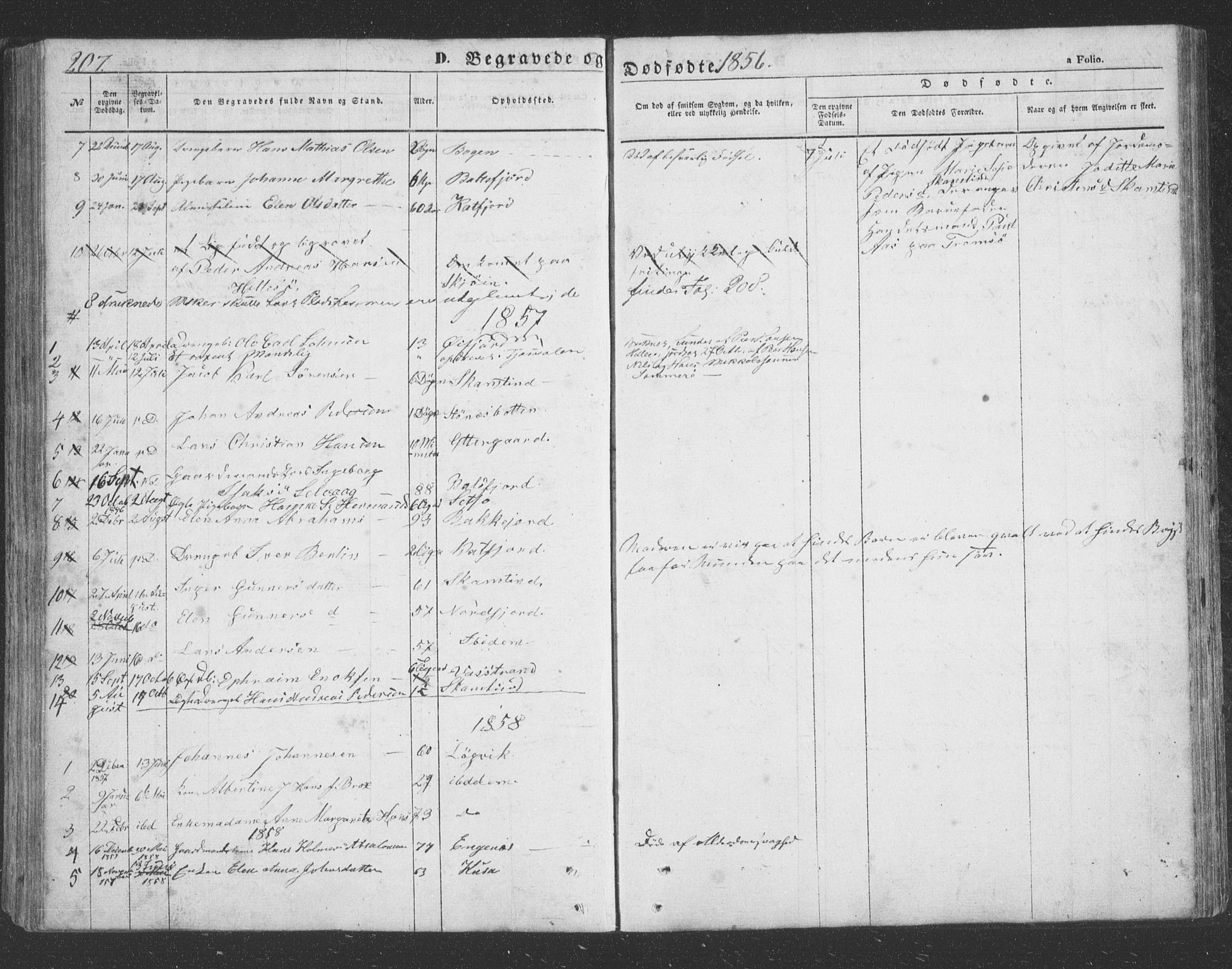 Lenvik sokneprestembete, AV/SATØ-S-1310/H/Ha/Hab/L0020klokker: Parish register (copy) no. 20, 1855-1883, p. 207