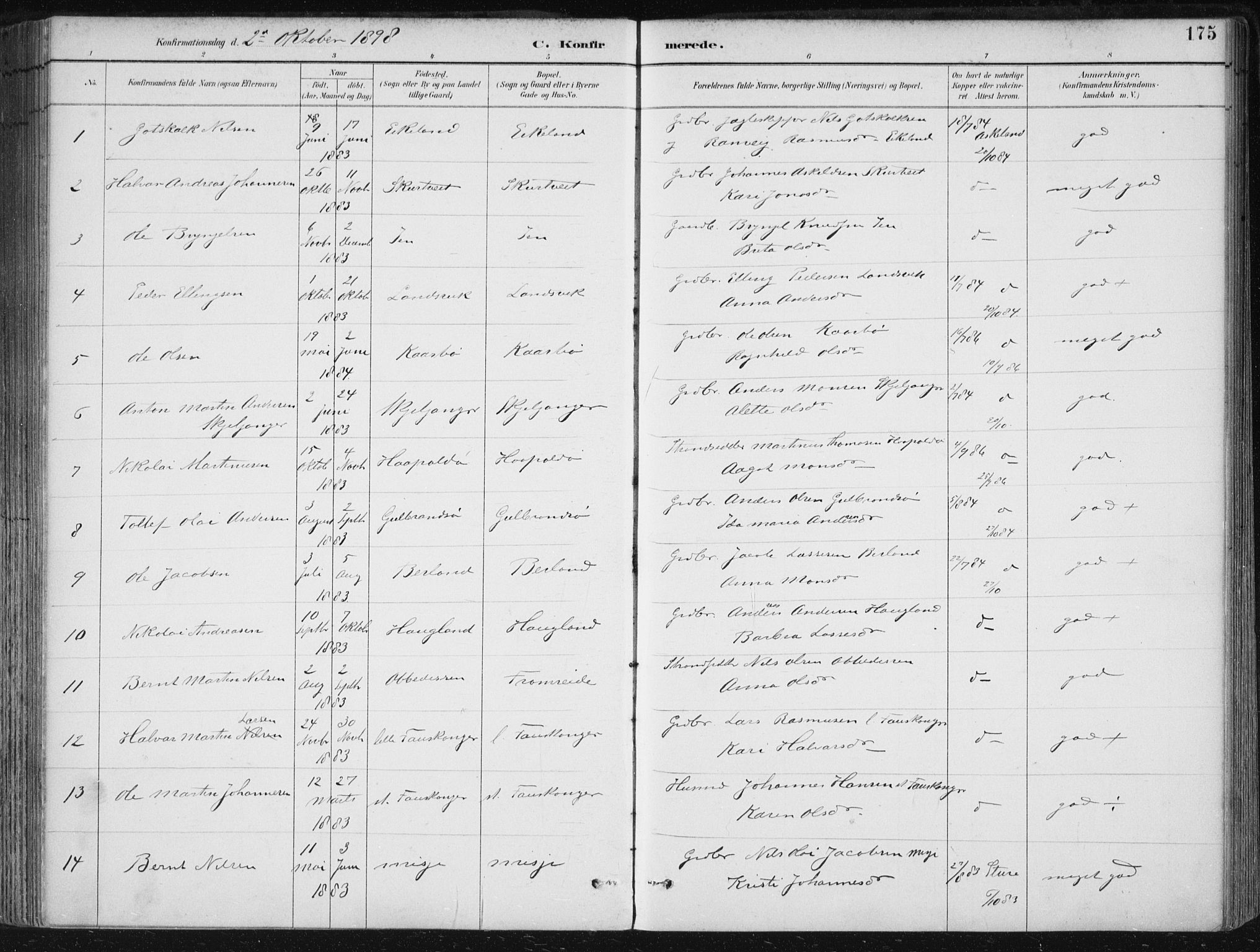 Herdla Sokneprestembete, SAB/A-75701/H/Haa: Parish register (official) no. A 4, 1891-1905, p. 175