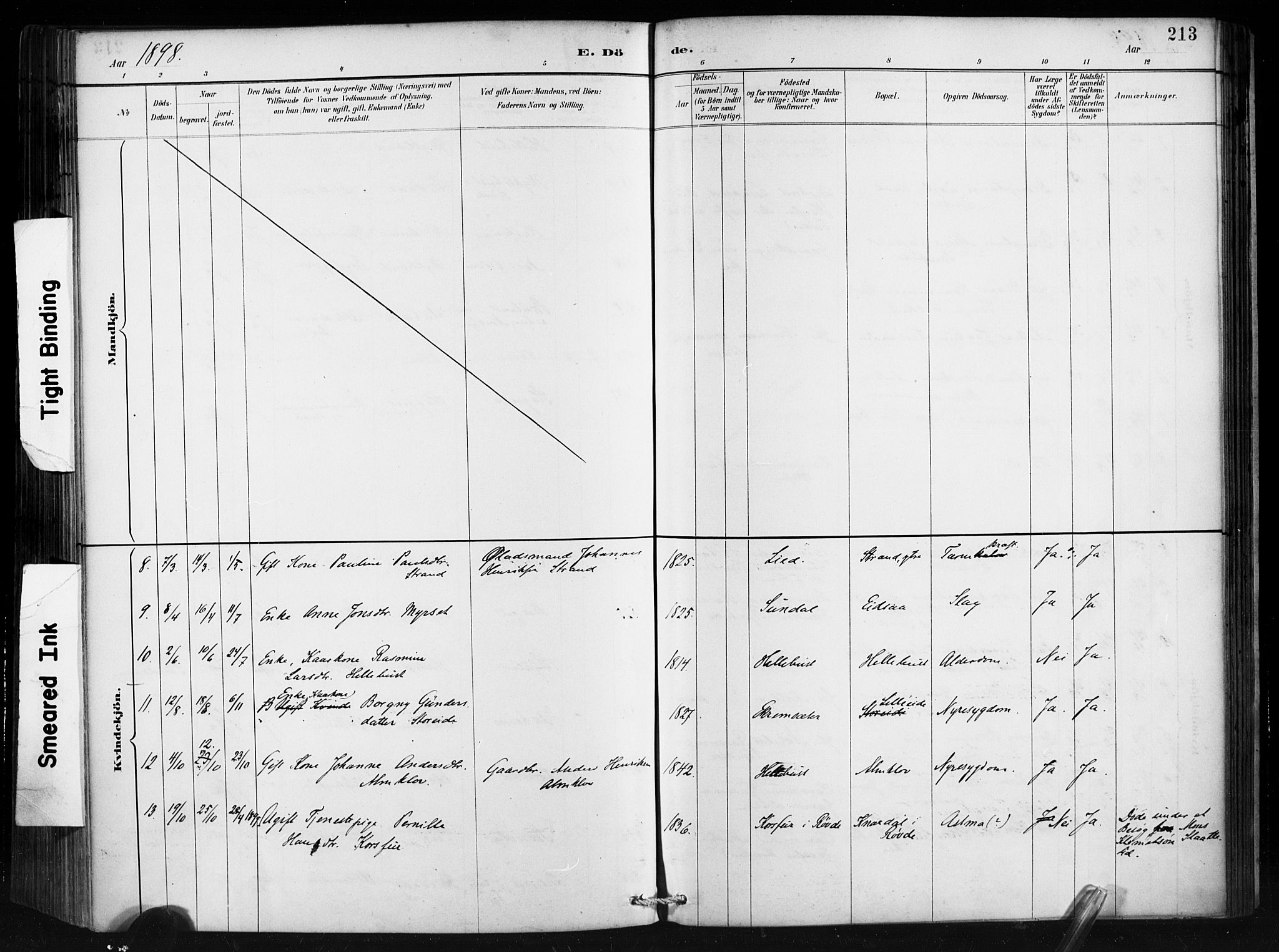 Ministerialprotokoller, klokkerbøker og fødselsregistre - Møre og Romsdal, AV/SAT-A-1454/501/L0008: Parish register (official) no. 501A08, 1885-1901, p. 213