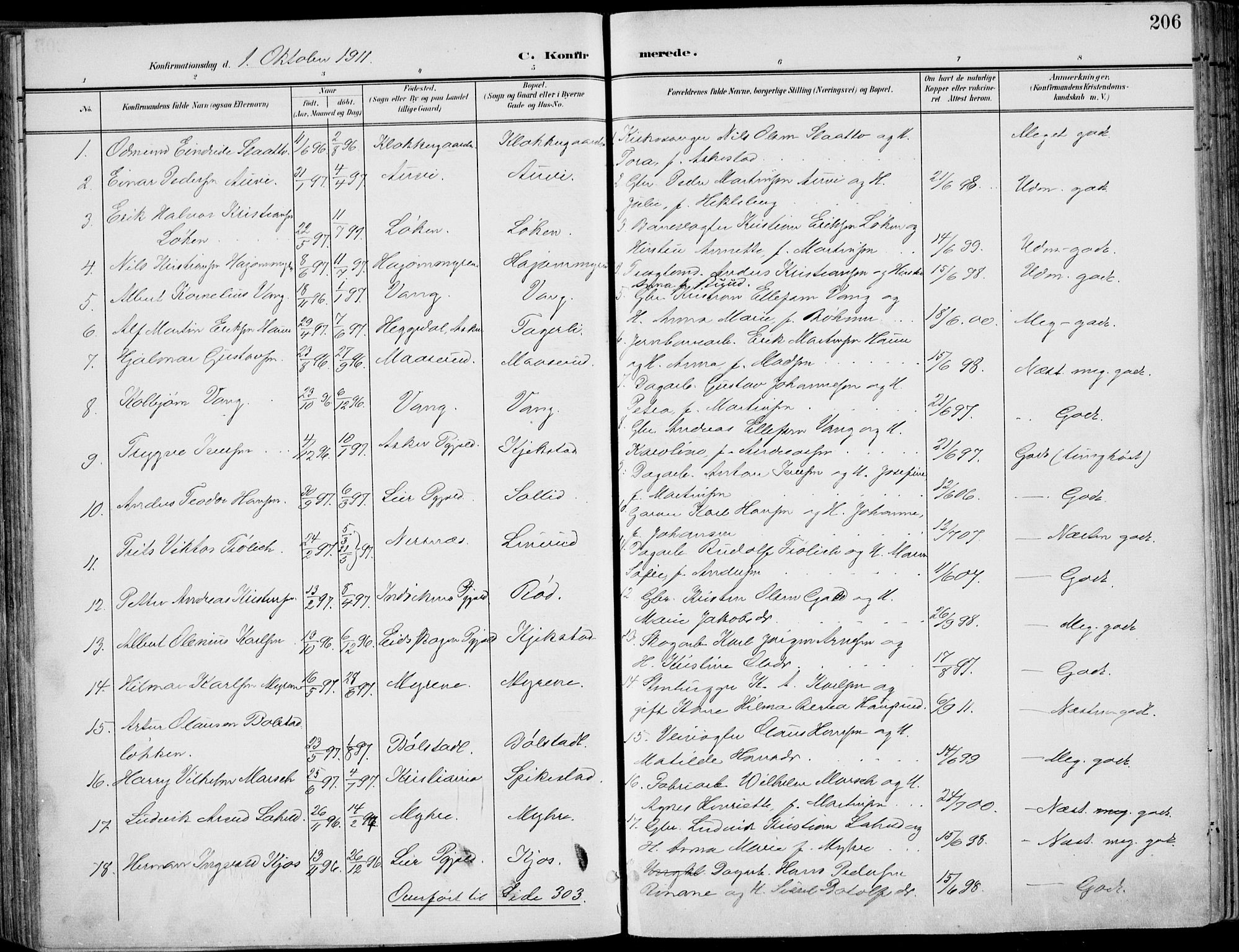 Røyken kirkebøker, SAKO/A-241/F/Fa/L0009: Parish register (official) no. 9, 1898-1911, p. 206