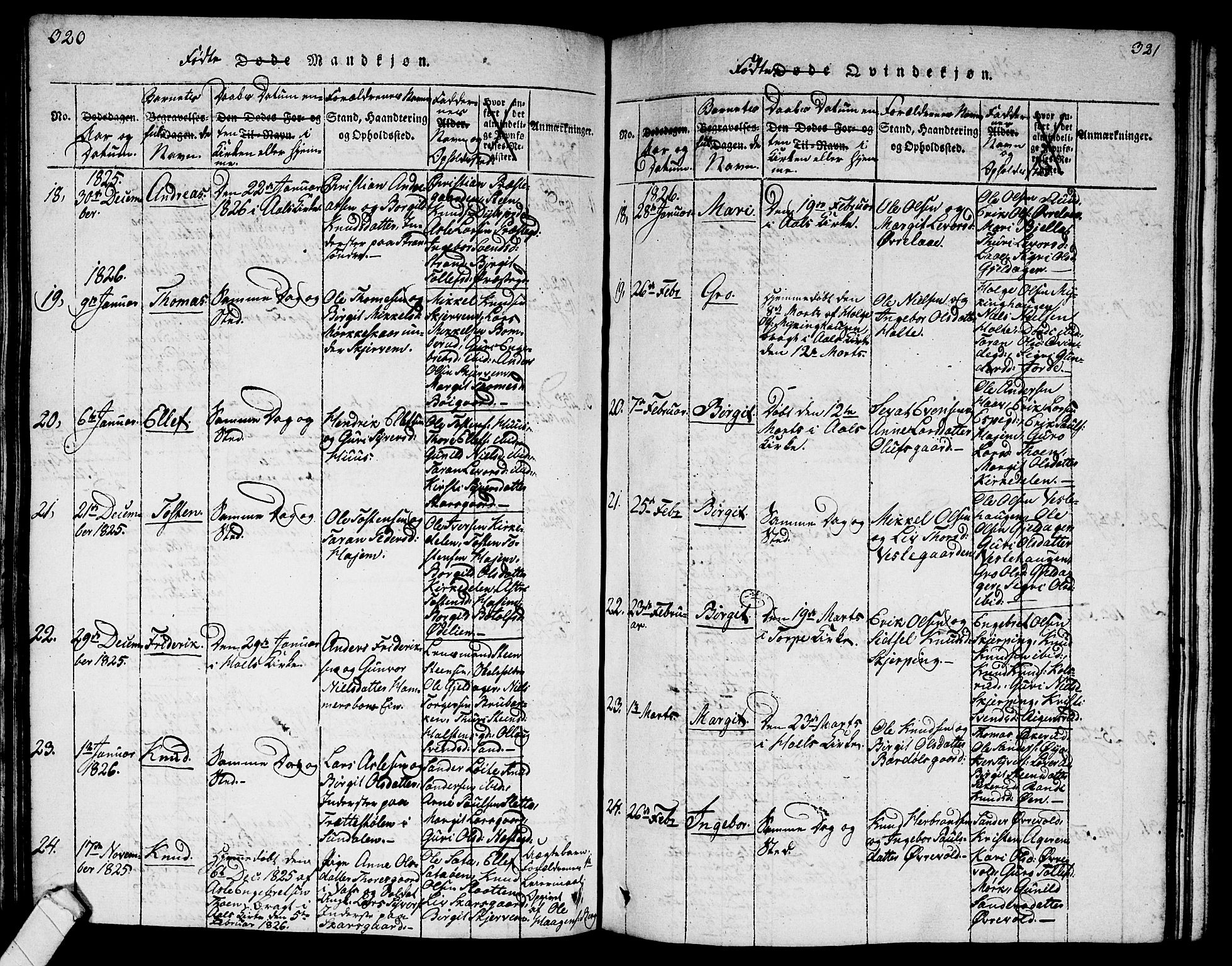 Ål kirkebøker, AV/SAKO-A-249/G/Ga/L0001: Parish register (copy) no. 1, 1815-1829, p. 320-321