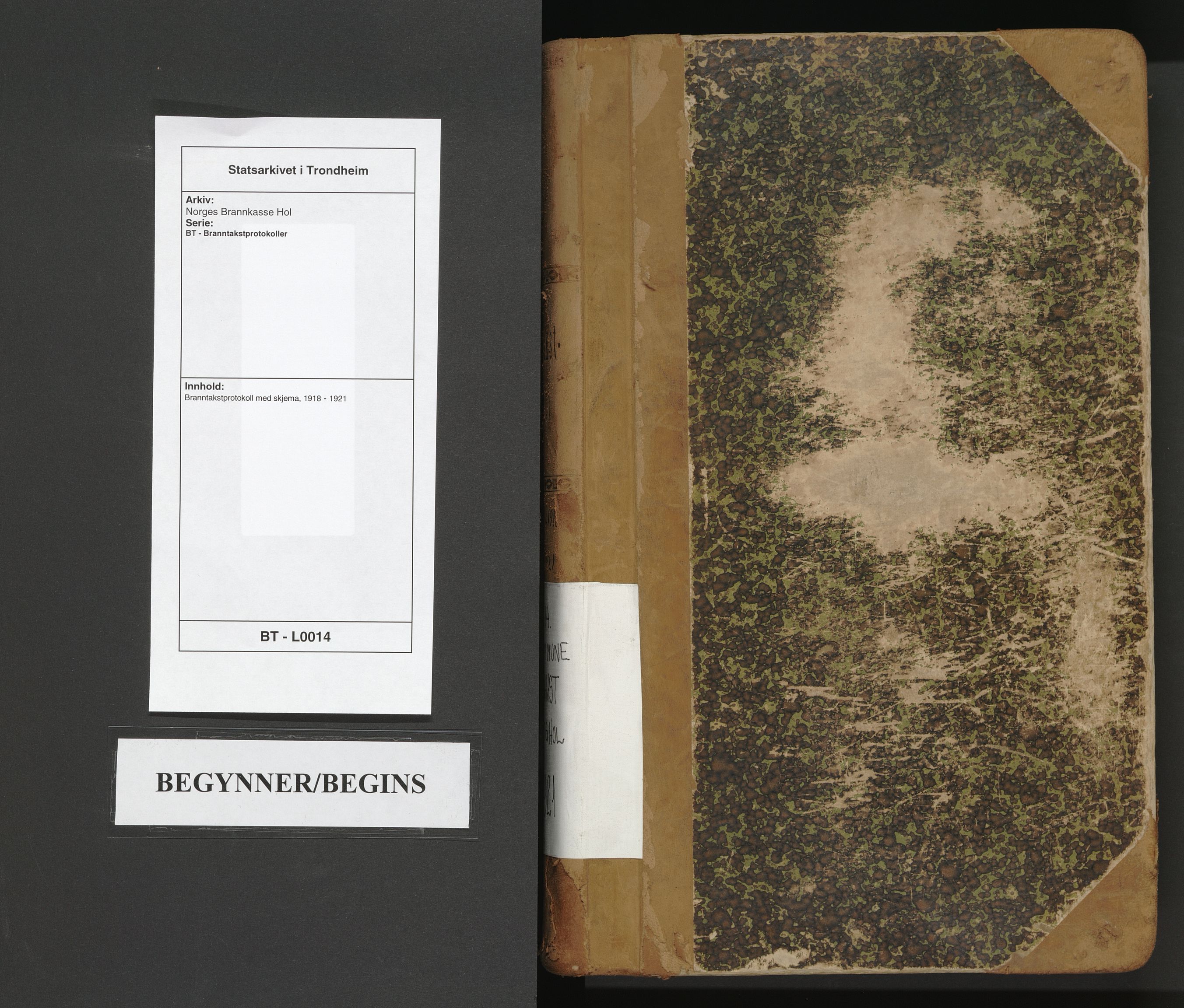 Norges Brannkasse Hol, AV/SAT-A-5601/BT/L0014: Branntakstprotokoll med skjema, 1918-1921