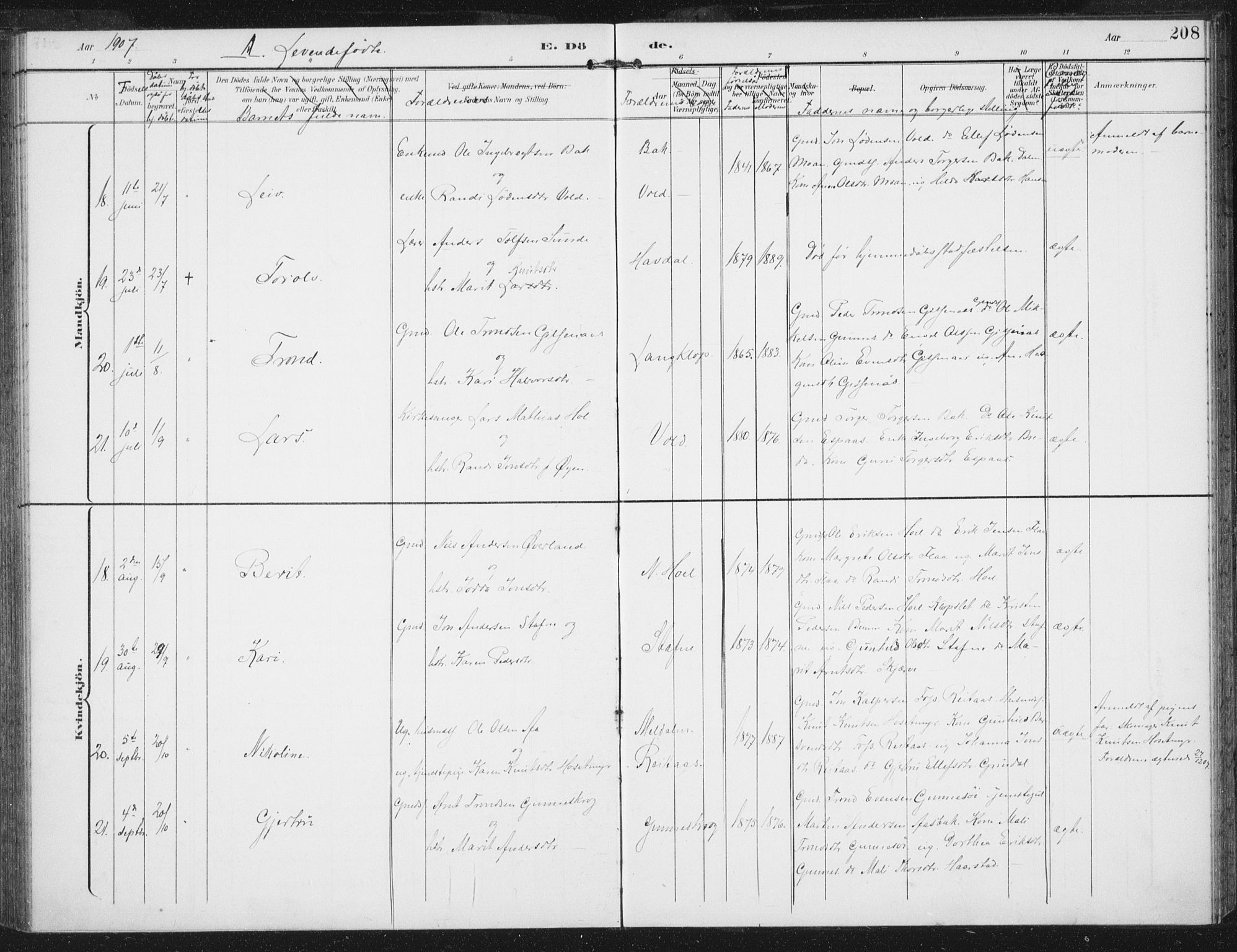 Ministerialprotokoller, klokkerbøker og fødselsregistre - Sør-Trøndelag, AV/SAT-A-1456/674/L0872: Parish register (official) no. 674A04, 1897-1907, p. 208