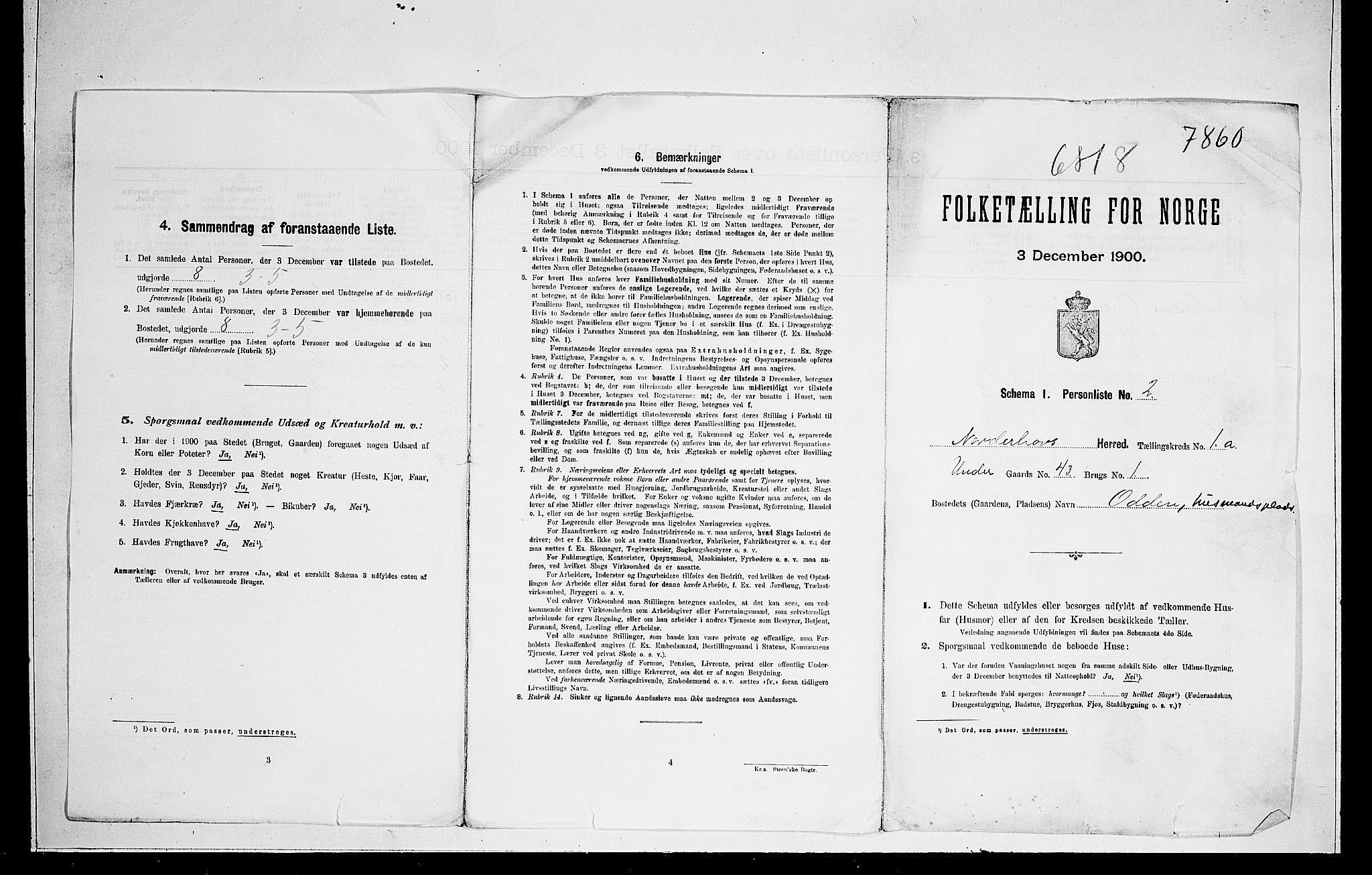 RA, 1900 census for Norderhov, 1900, p. 46