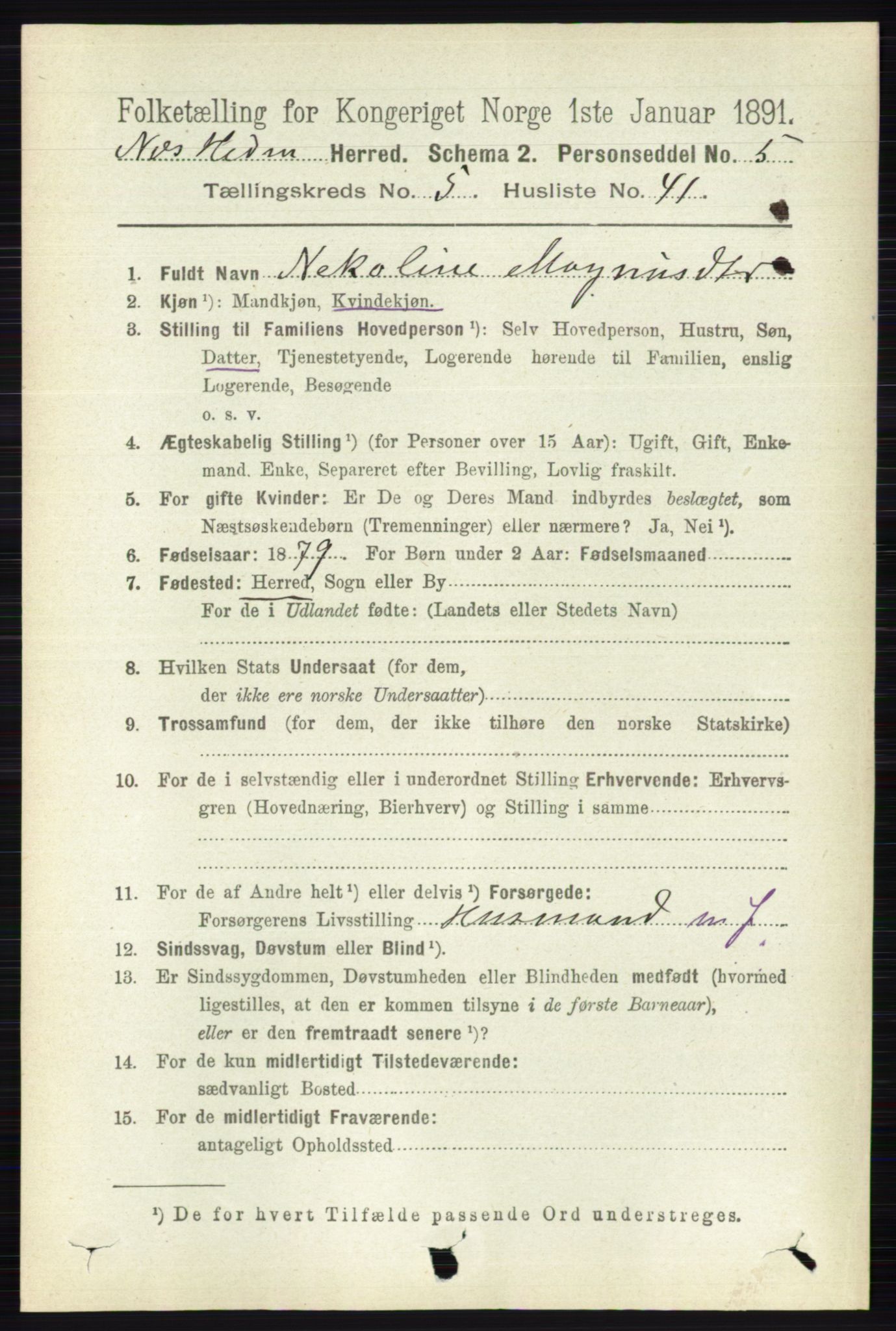 RA, 1891 census for 0411 Nes, 1891, p. 2848