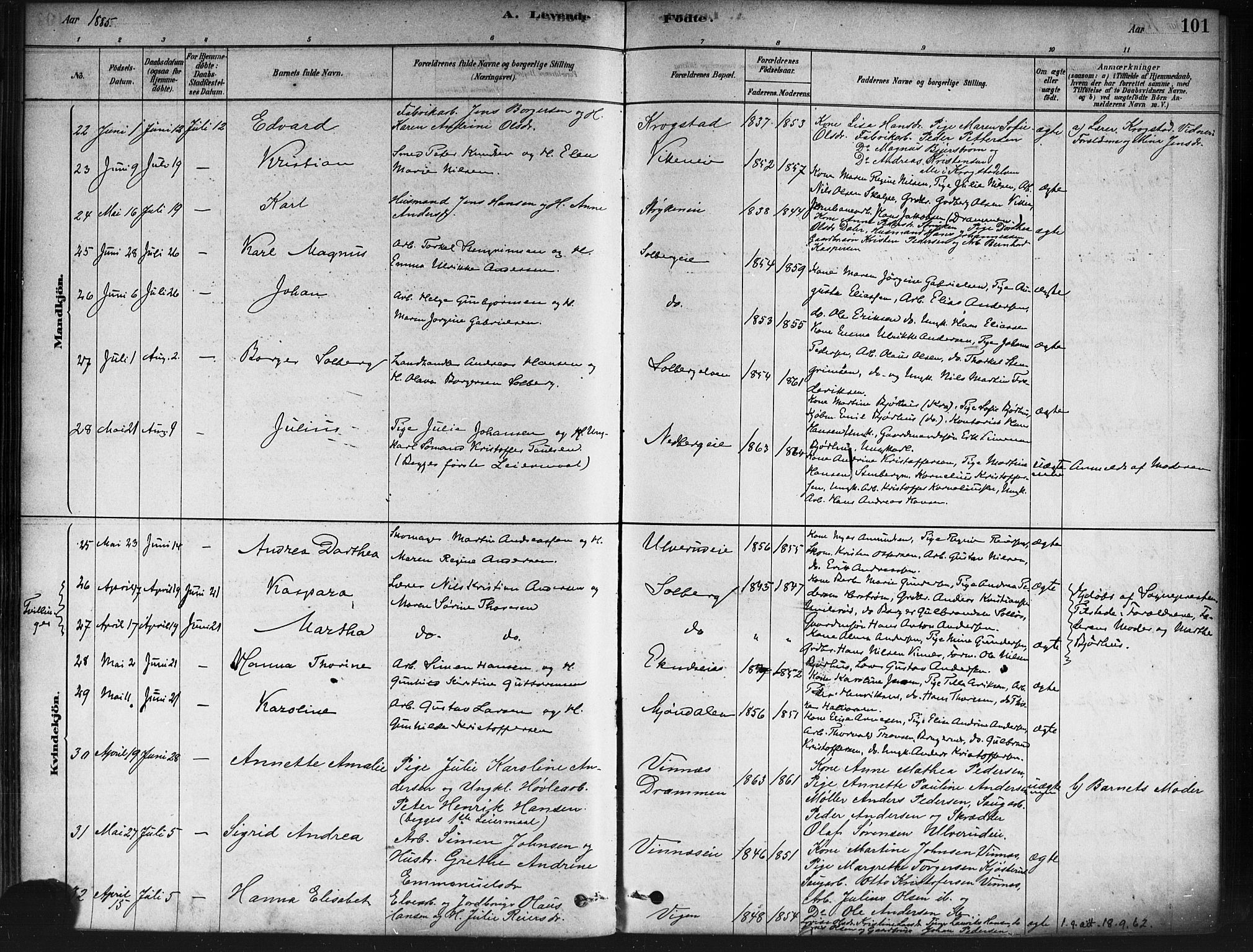 Nedre Eiker kirkebøker, SAKO/A-612/F/Fa/L0002: Parish register (official) no. 2, 1878-1885, p. 101