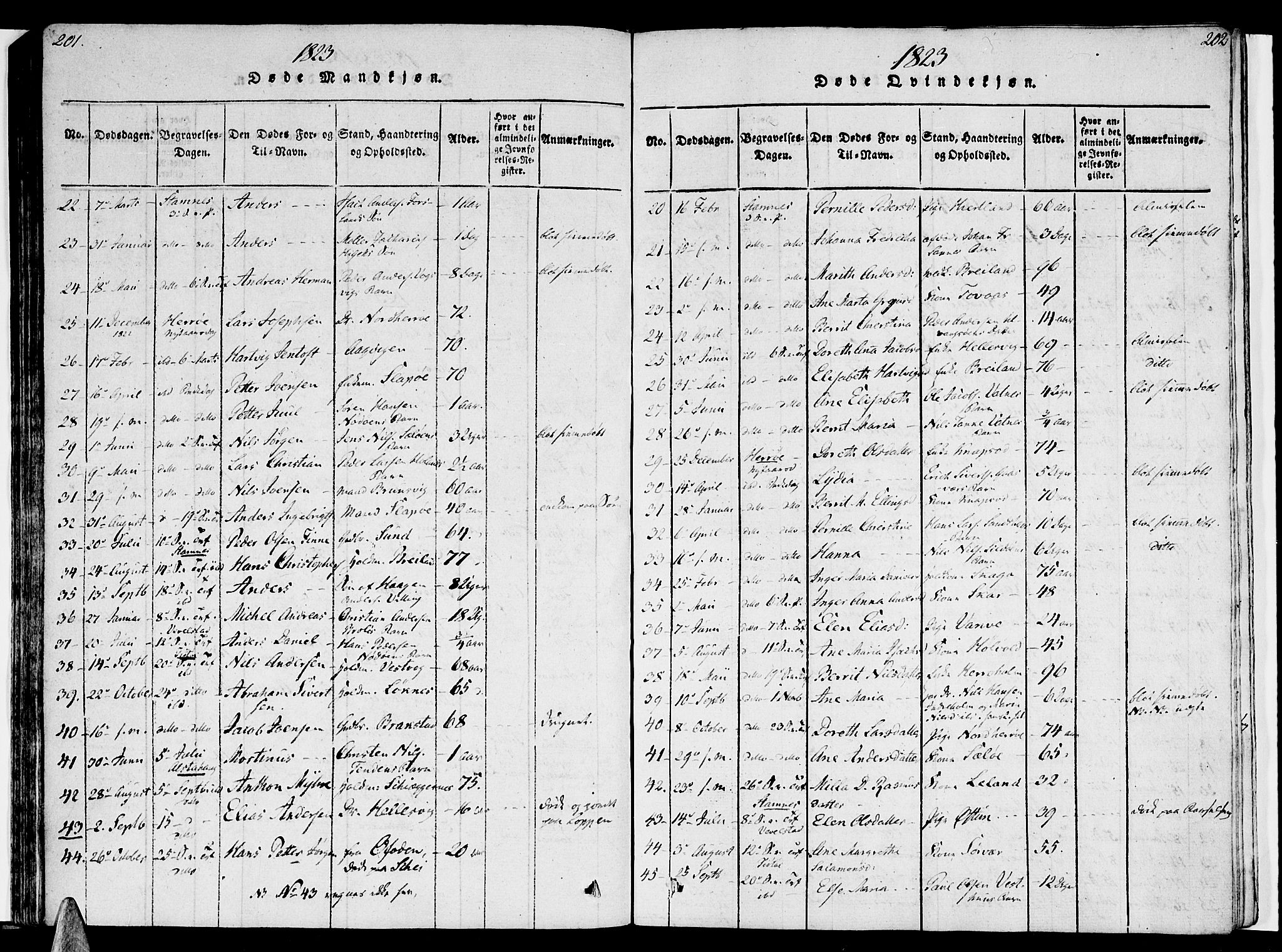 Ministerialprotokoller, klokkerbøker og fødselsregistre - Nordland, AV/SAT-A-1459/830/L0445: Parish register (official) no. 830A09, 1820-1830, p. 201-202