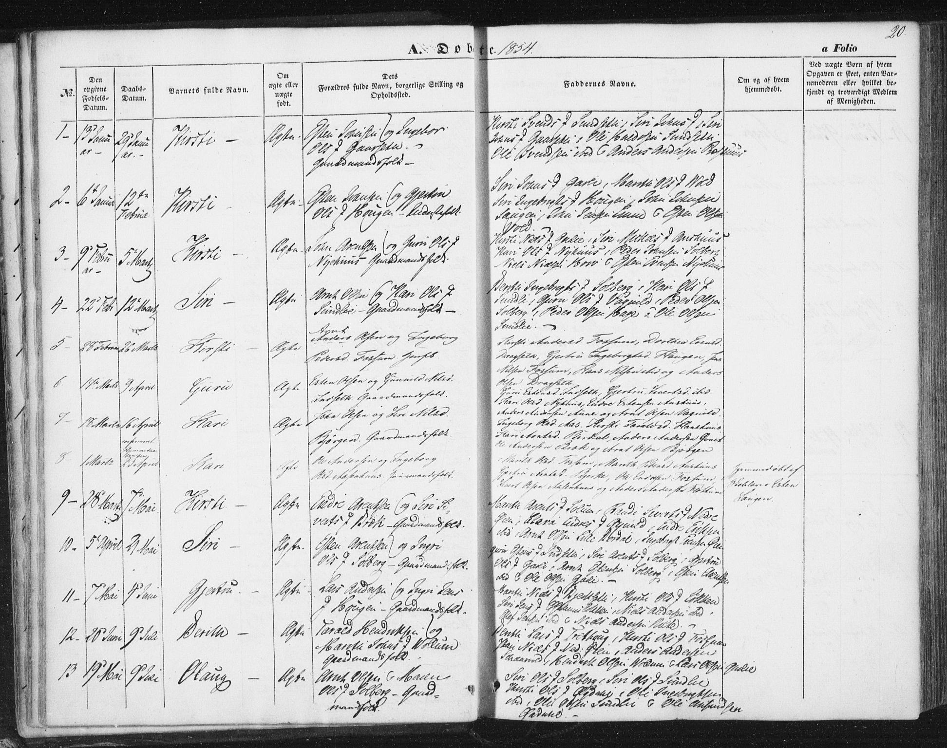 Ministerialprotokoller, klokkerbøker og fødselsregistre - Sør-Trøndelag, AV/SAT-A-1456/689/L1038: Parish register (official) no. 689A03, 1848-1872, p. 20