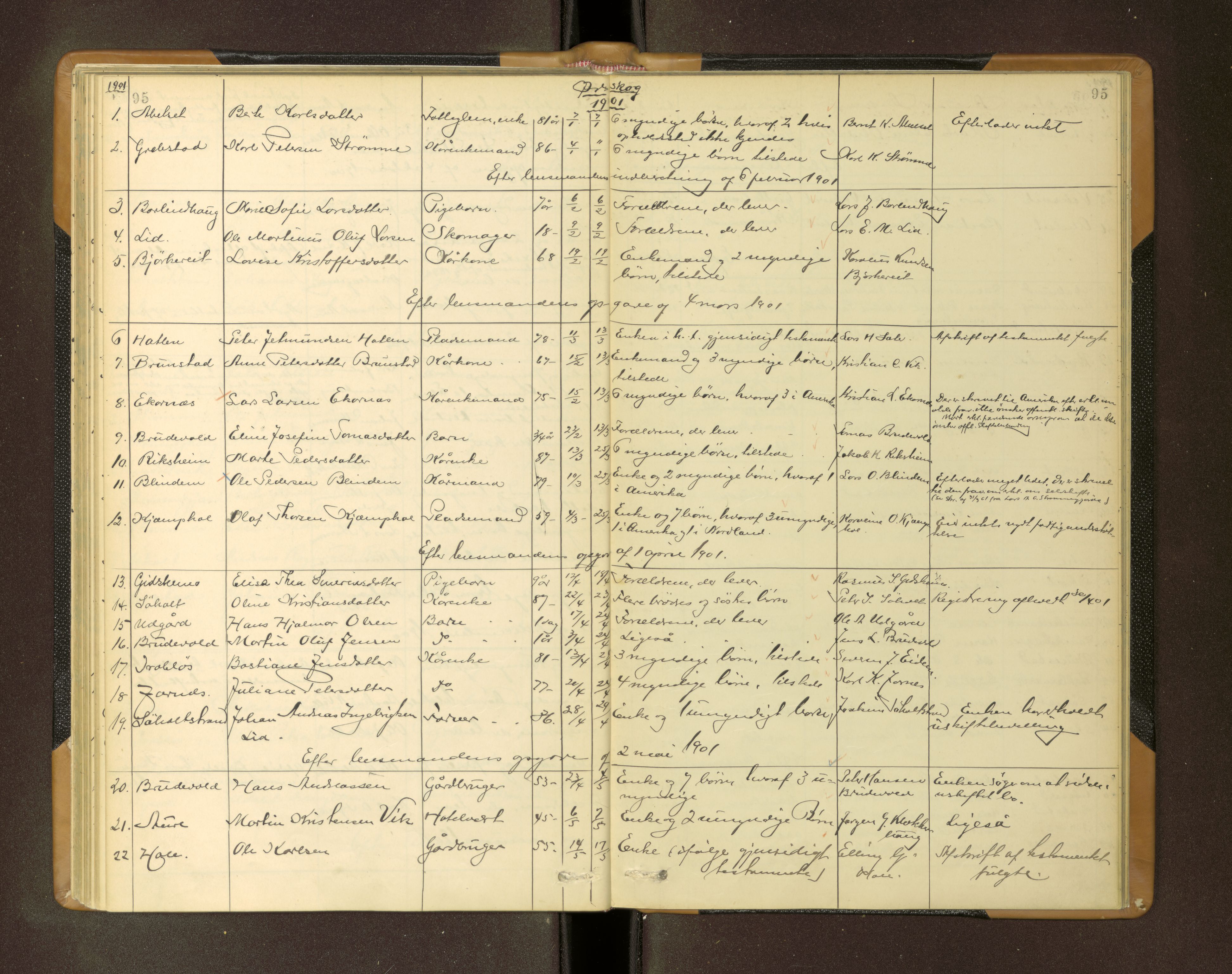 Nordre Sunnmøre sorenskriveri, AV/SAT-A-0006/1/3/3L/L0005: Dødsfallsprotokoll, 1893-1901, p. 95