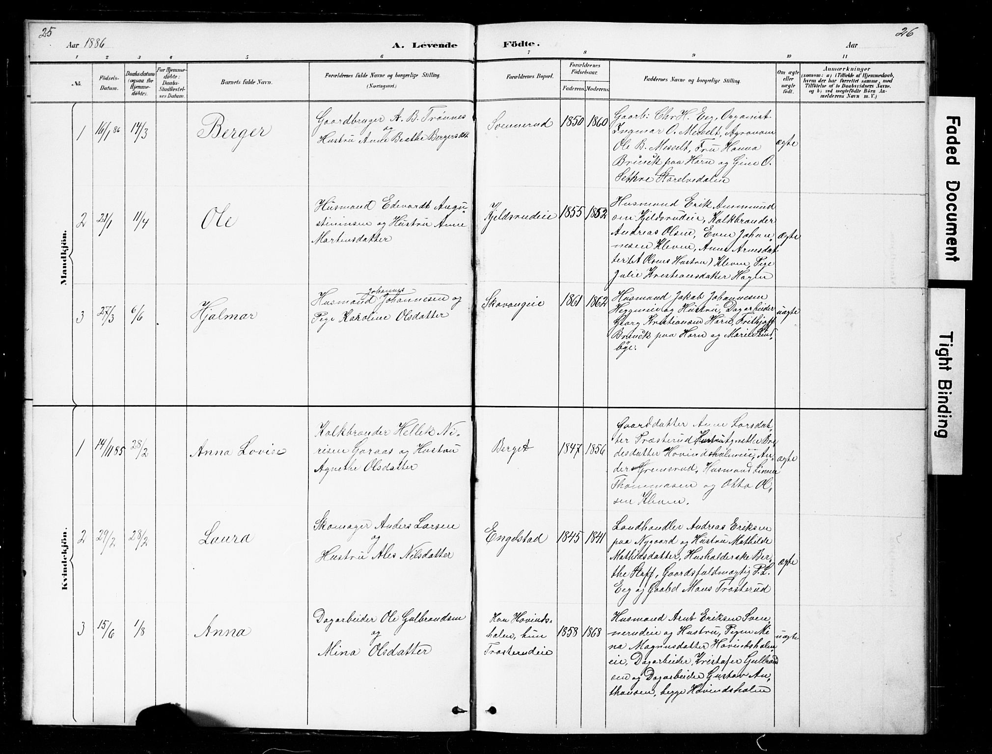 Nes prestekontor, Hedmark, SAH/PREST-020/L/La/L0016: Parish register (copy) no. 16, 1883-1900, p. 25-26