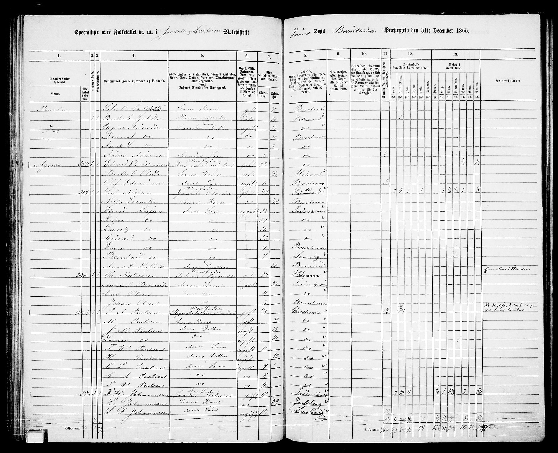 RA, 1865 census for Brunlanes, 1865, p. 85