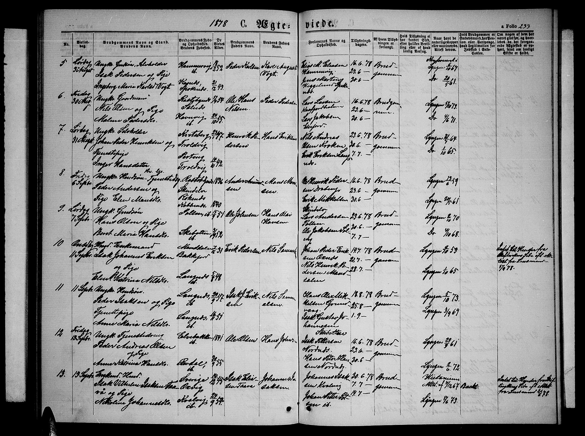 Lyngen sokneprestembete, AV/SATØ-S-1289/H/He/Heb/L0004klokker: Parish register (copy) no. 4, 1868-1878, p. 233