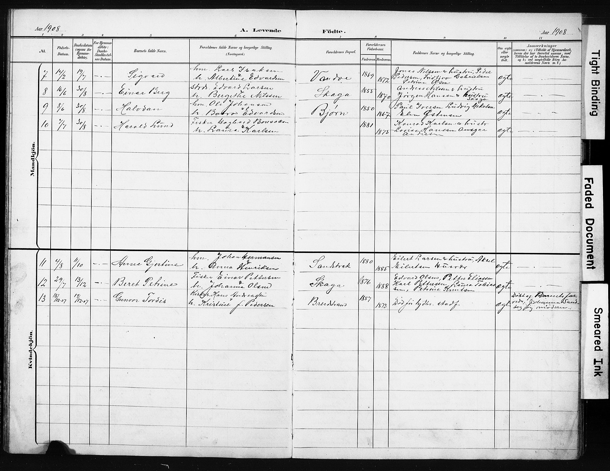 Ministerialprotokoller, klokkerbøker og fødselsregistre - Nordland, AV/SAT-A-1459/836/L0538: Parish register (copy) no. 836C02, 1901-1917