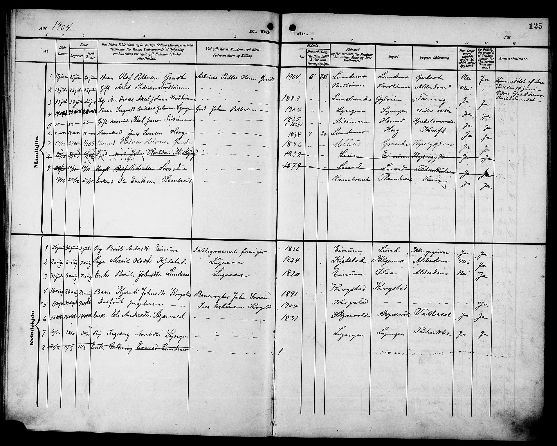 Ministerialprotokoller, klokkerbøker og fødselsregistre - Sør-Trøndelag, SAT/A-1456/692/L1112: Parish register (copy) no. 692C07, 1904-1918, p. 125