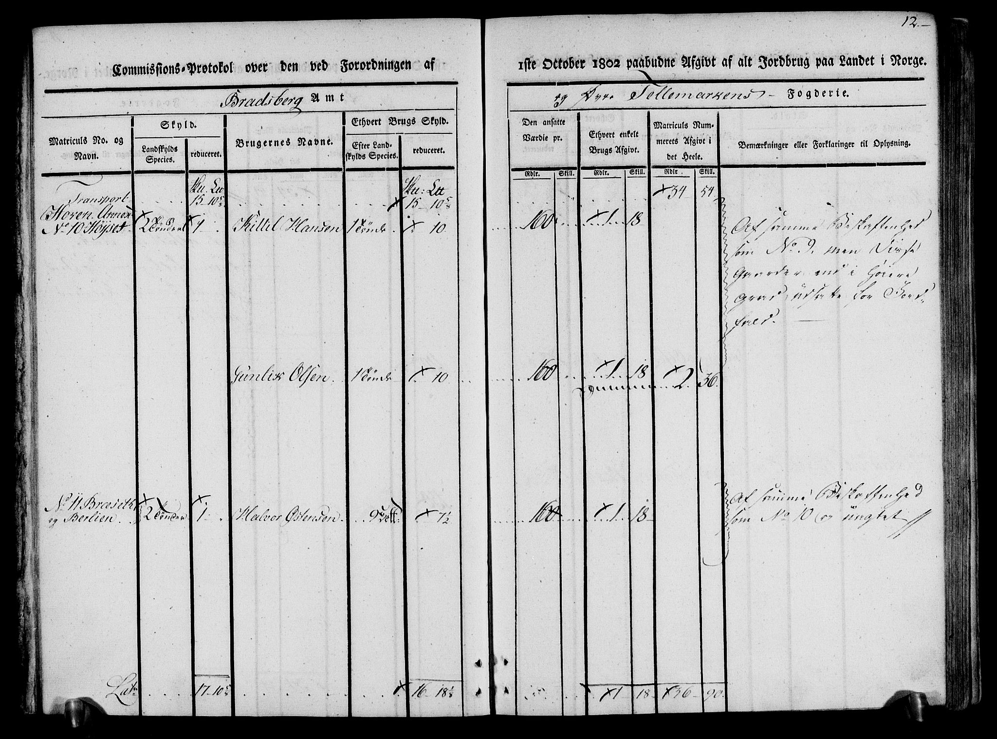 Rentekammeret inntil 1814, Realistisk ordnet avdeling, AV/RA-EA-4070/N/Ne/Nea/L0074: Øvre Telemarken fogderi. Kommisjonsprotokoll for fogderiets østre del - Tinn, Hjartdal og Seljord prestegjeld., 1803, p. 12