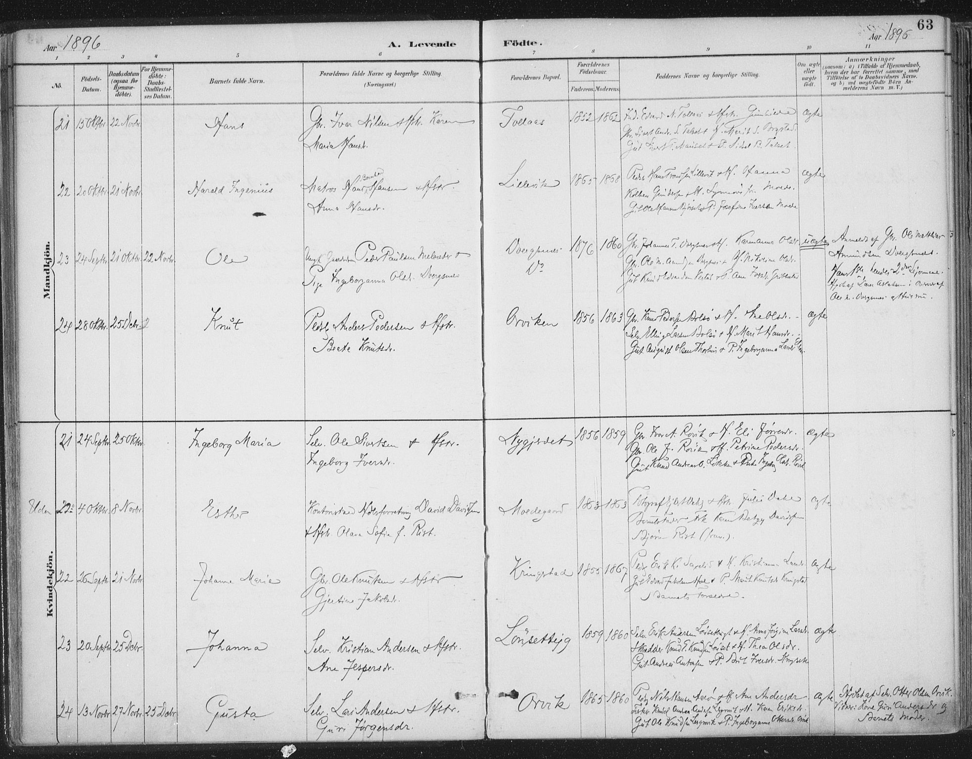 Ministerialprotokoller, klokkerbøker og fødselsregistre - Møre og Romsdal, AV/SAT-A-1454/555/L0658: Parish register (official) no. 555A09, 1887-1917, p. 63