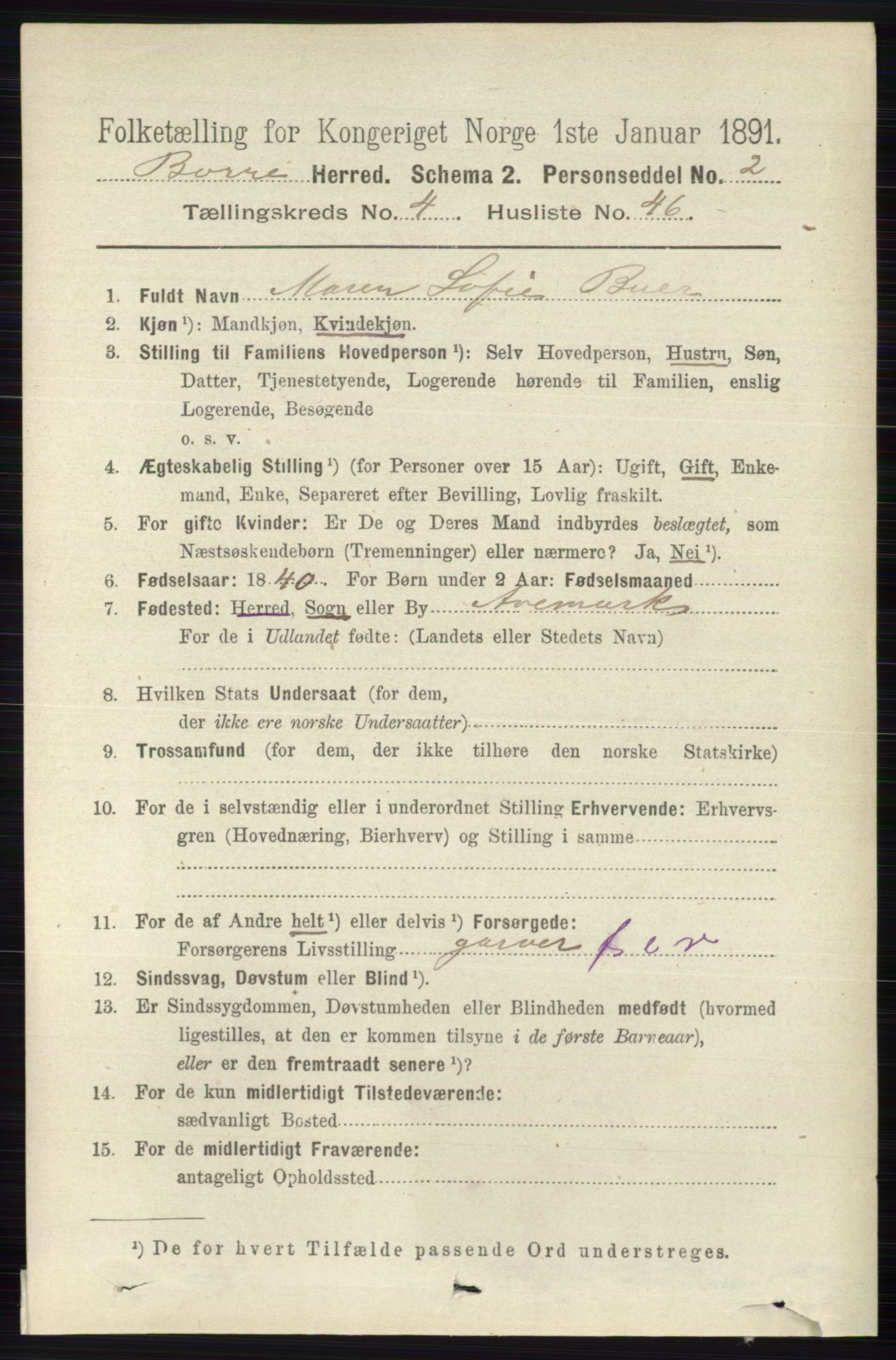 RA, 1891 census for 0717 Borre, 1891, p. 1920