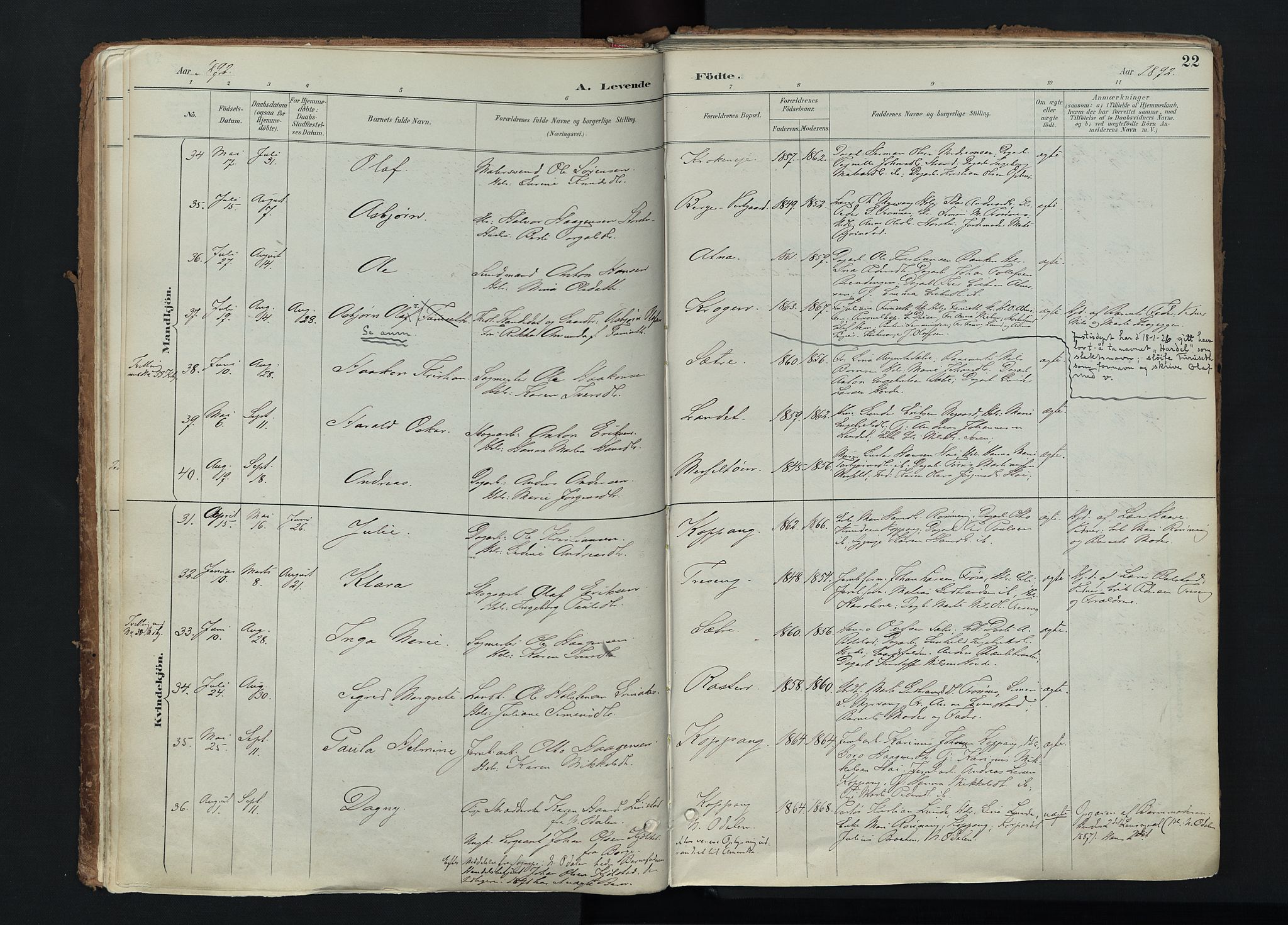 Stor-Elvdal prestekontor, AV/SAH-PREST-052/H/Ha/Haa/L0004: Parish register (official) no. 4, 1890-1922, p. 22