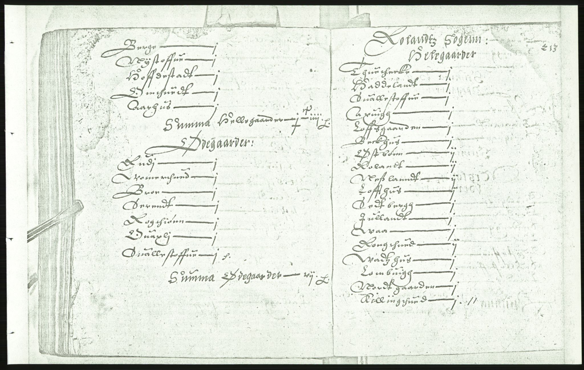 Manuskriptsamlingen, AV/RA-EA-3667/F/L0175c: Kopi av Universitetsbiblioteket, manuskript kvarto nr. 503, Manntall på fulle og halve og ødegårder uti Oslo og Hamar stift anno 1602, III Øvre Telemark, Bragernes, Øvre Romerike, 1602, p. 212b-213a