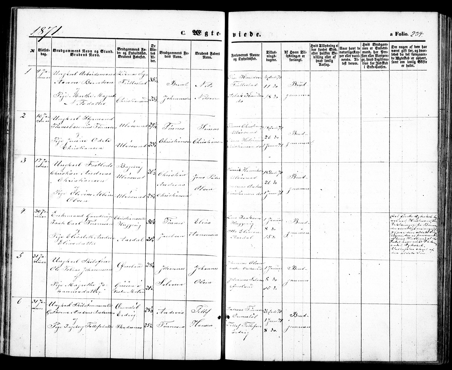Høvåg sokneprestkontor, SAK/1111-0025/F/Fa/L0004: Parish register (official) no. A 4, 1859-1877, p. 234