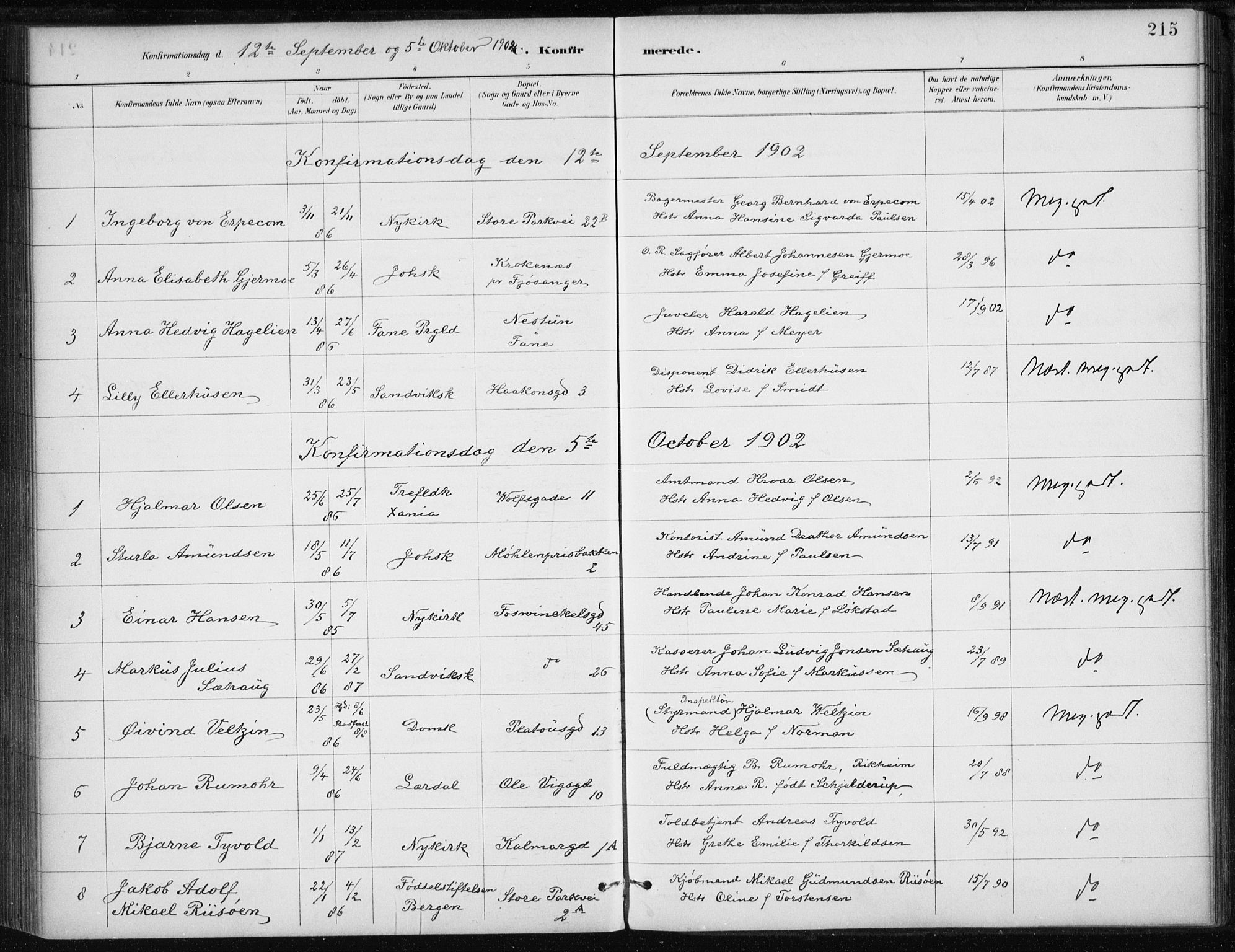 Johanneskirken sokneprestembete, AV/SAB-A-76001/H/Haa/L0008: Parish register (official) no. C 1, 1885-1907, p. 215