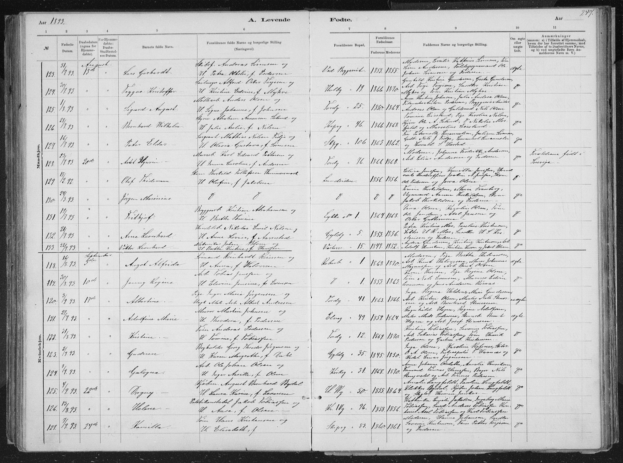 Kristiansand domprosti, SAK/1112-0006/F/Fb/L0014: Parish register (copy) no. B 14, 1881-1896, p. 247