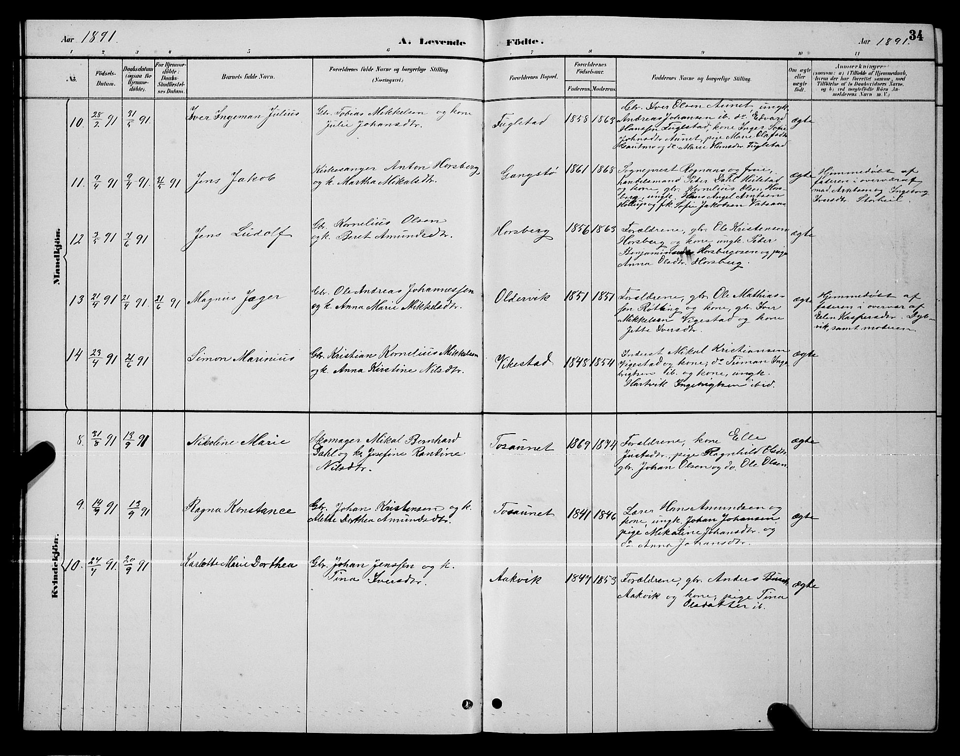 Ministerialprotokoller, klokkerbøker og fødselsregistre - Nordland, AV/SAT-A-1459/810/L0160: Parish register (copy) no. 810C03, 1884-1896, p. 34